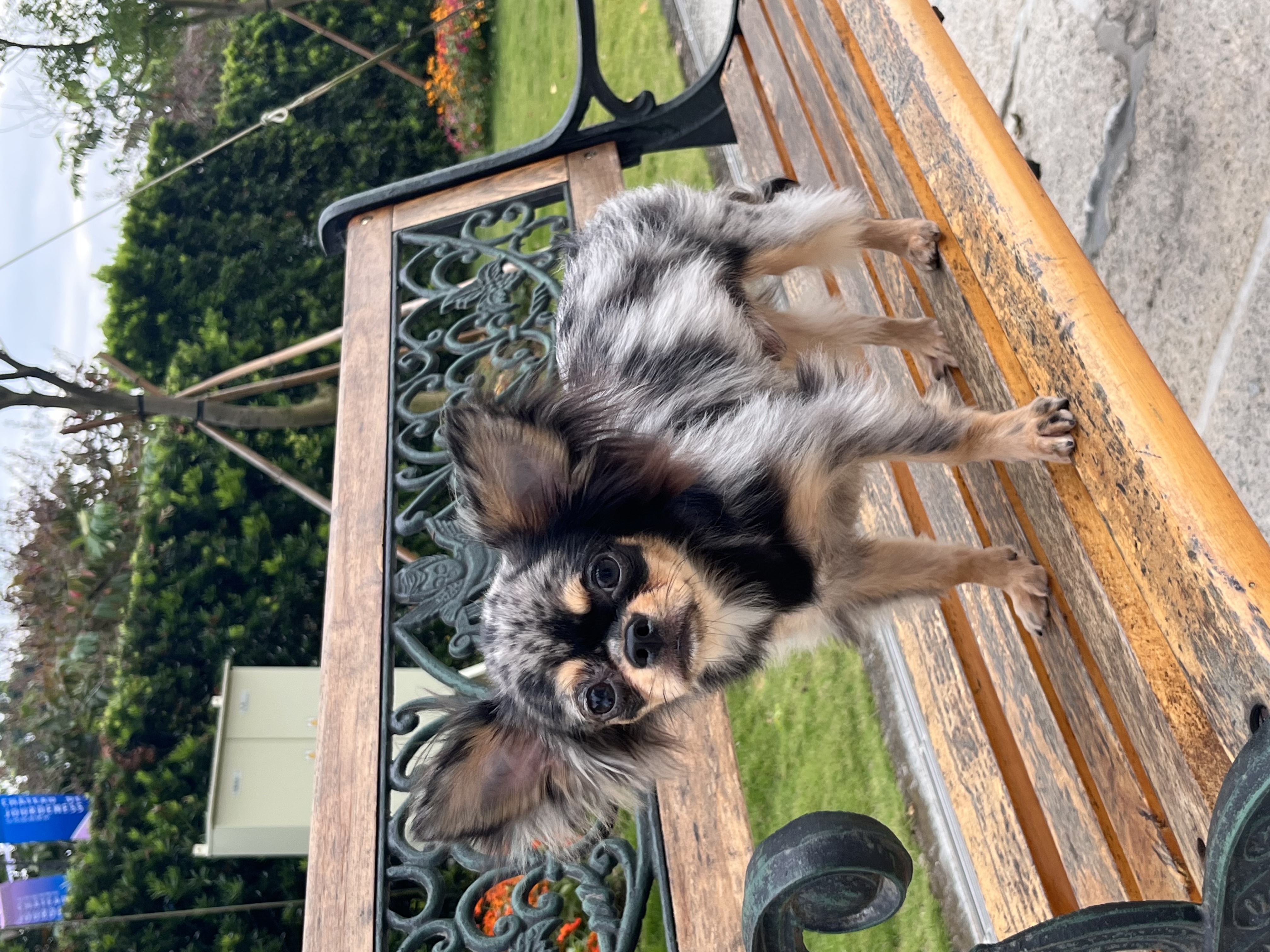 image-6