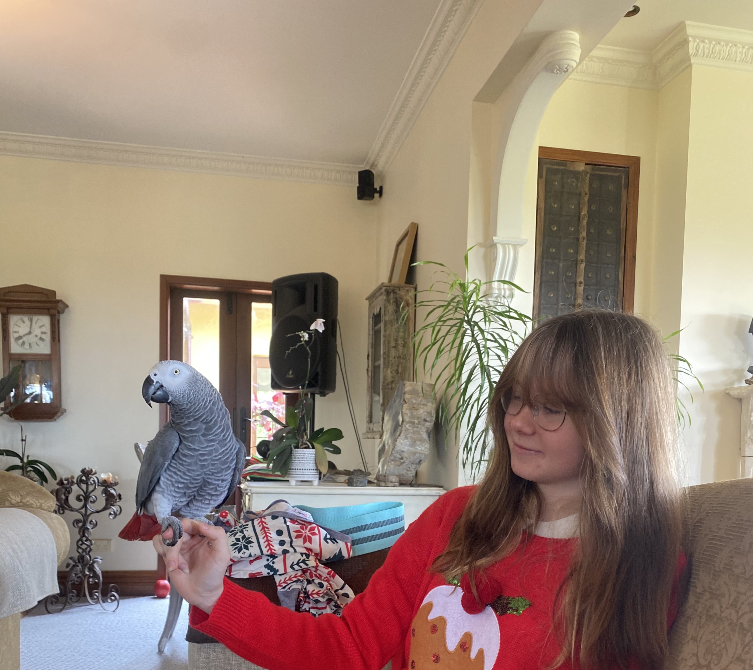 image-11