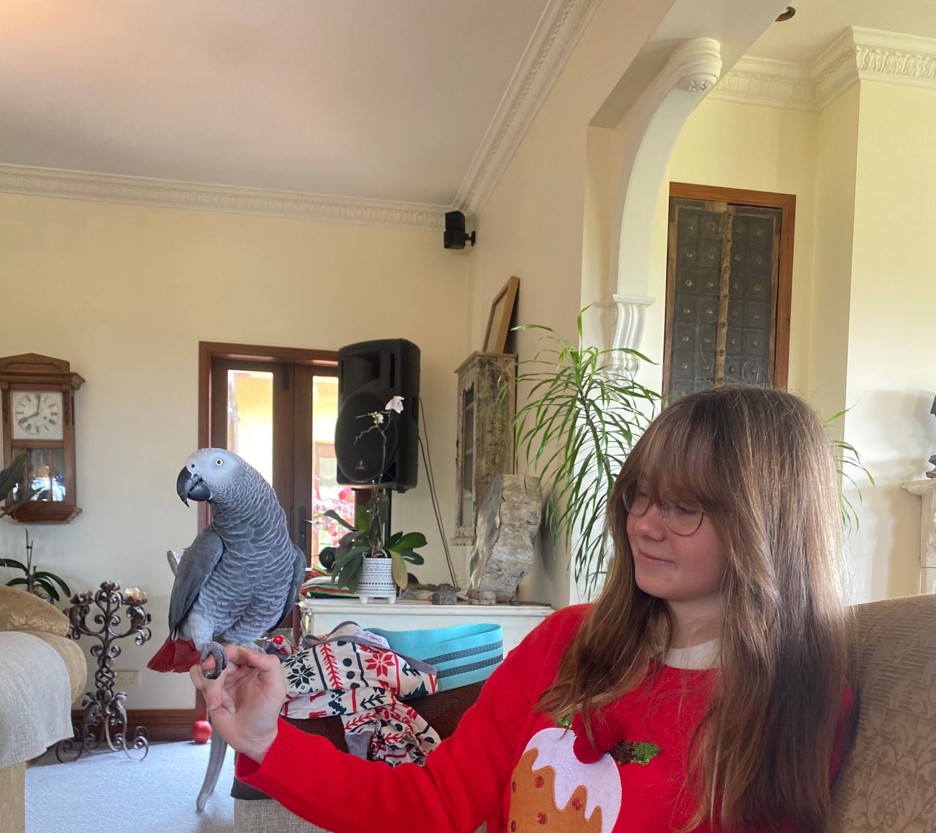 image-11