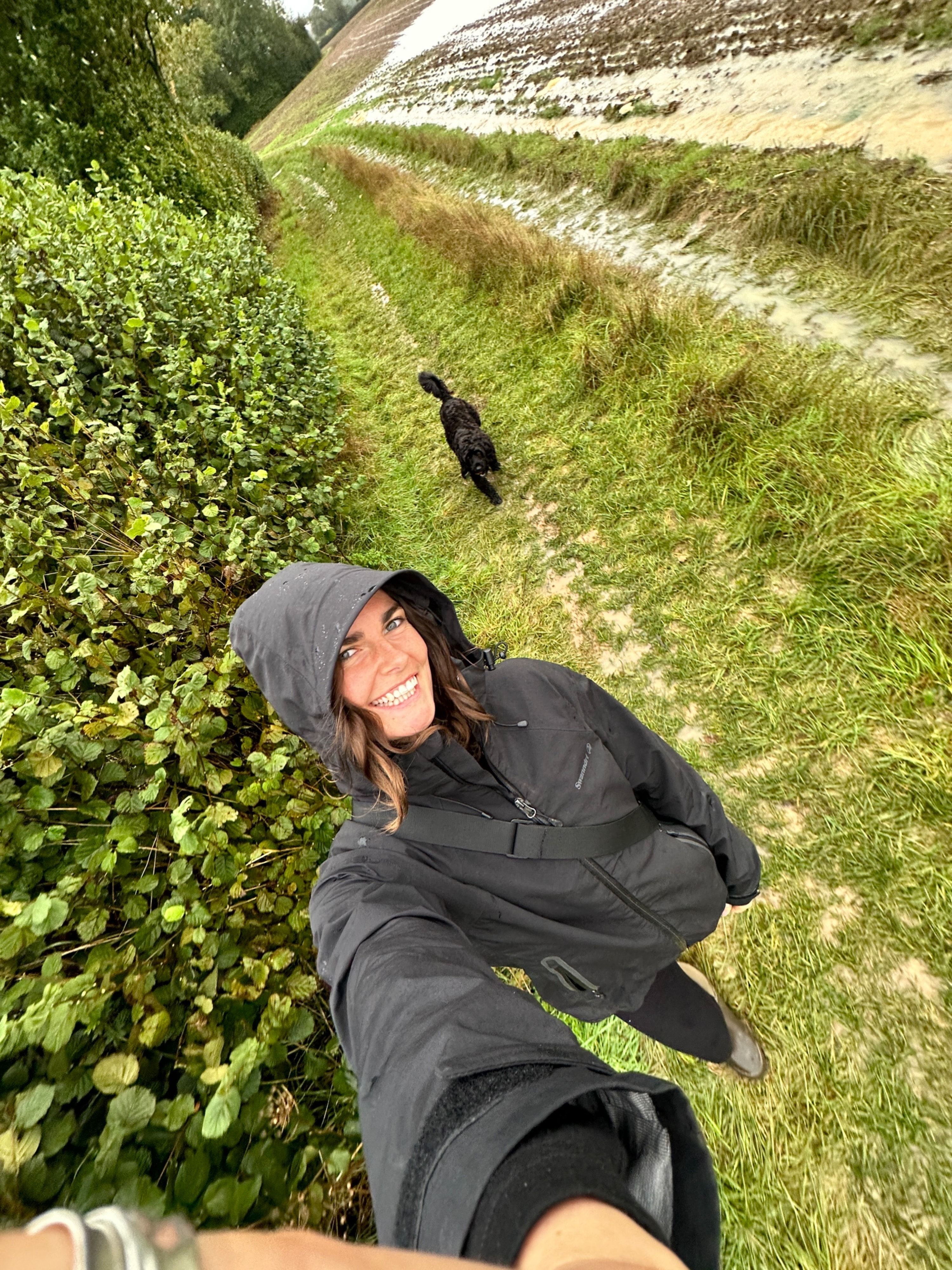 image-3