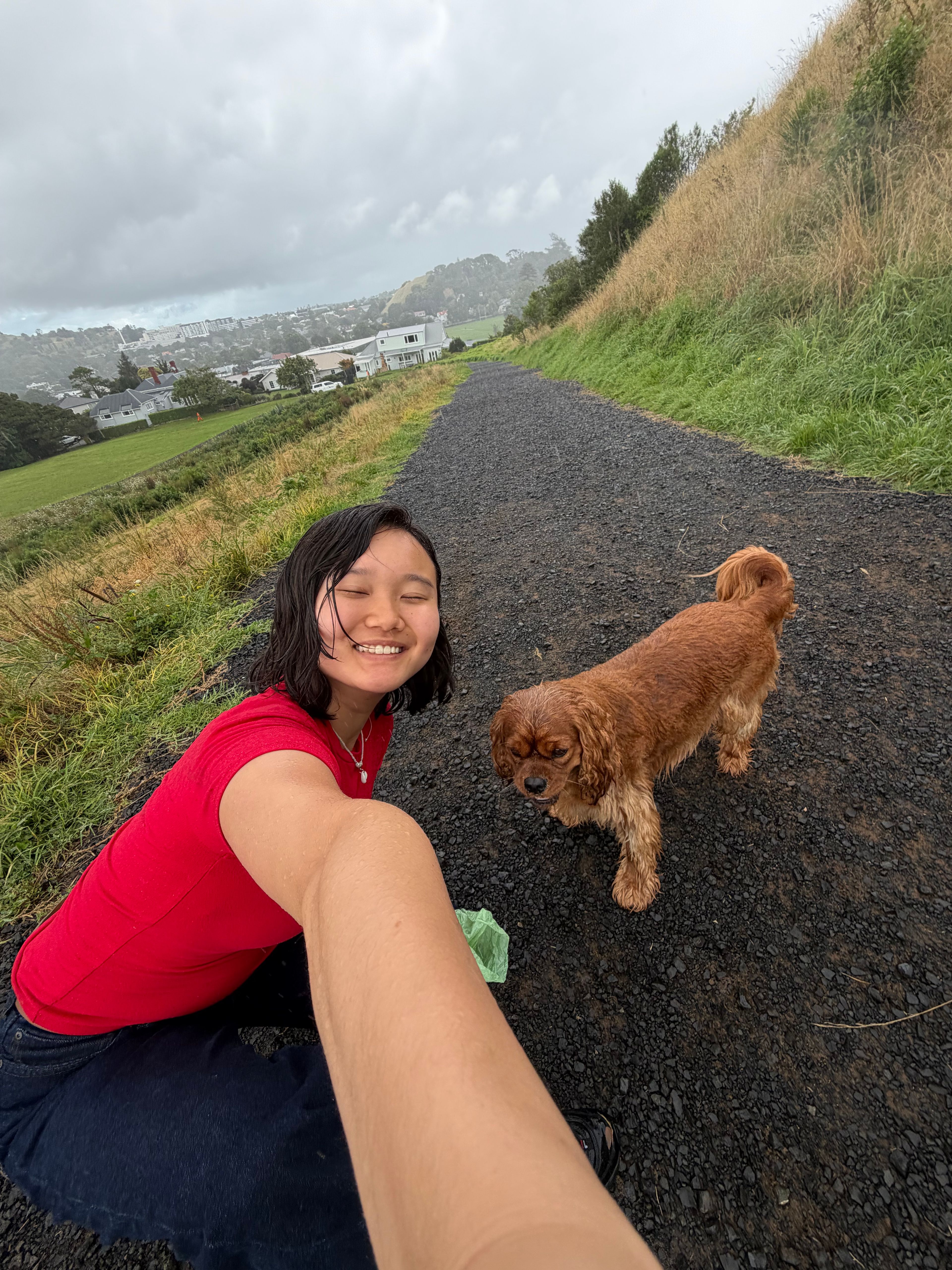 image-2