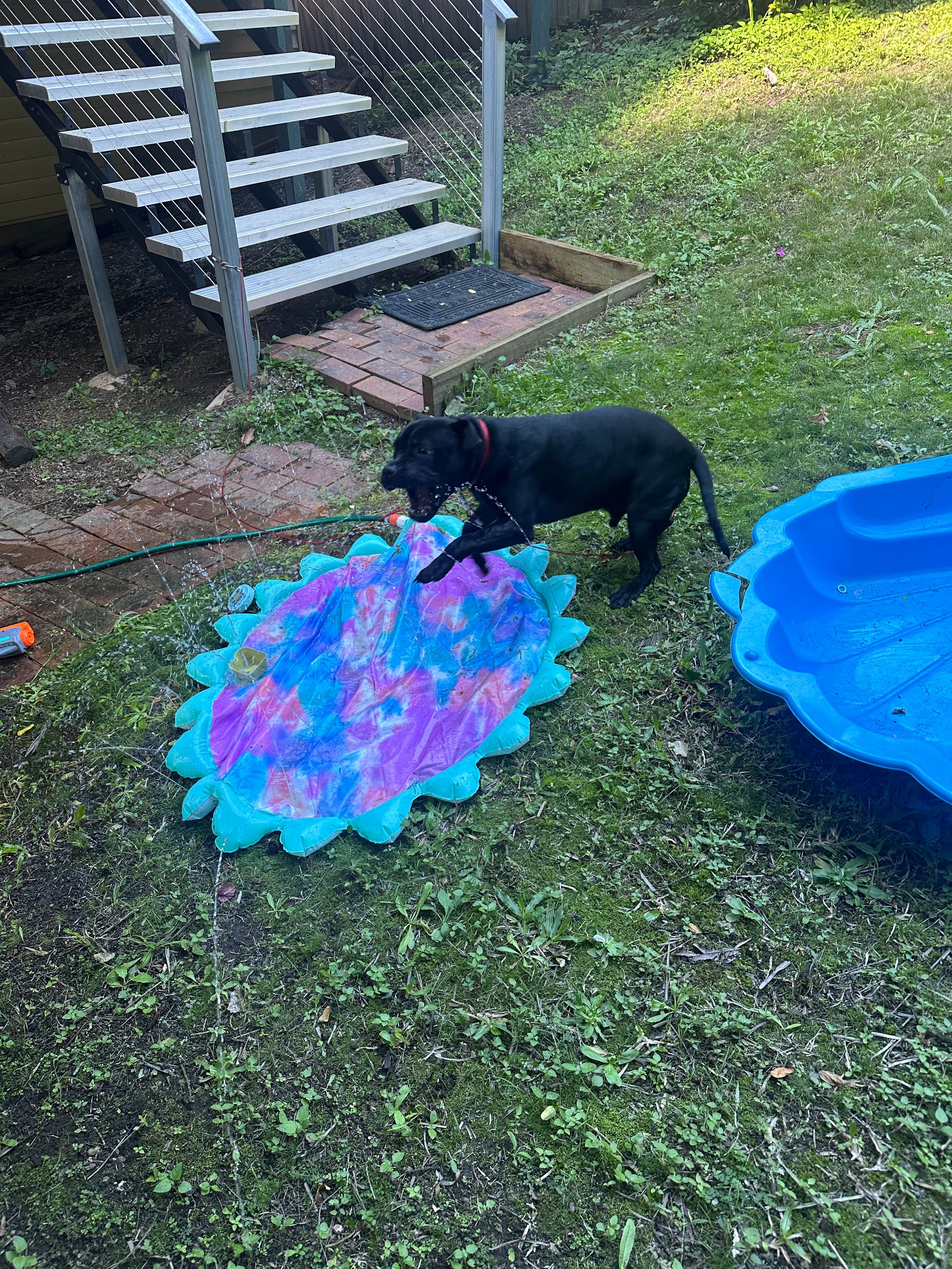image-17