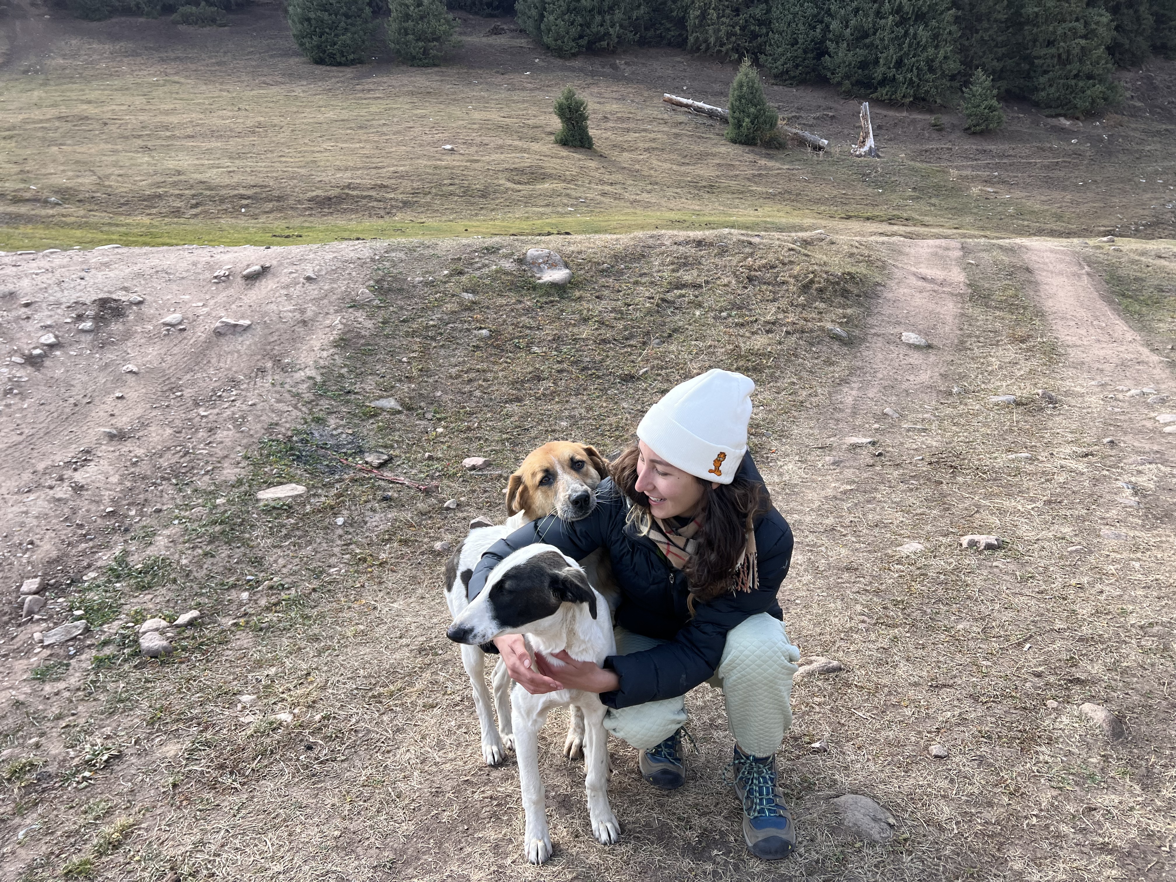 image-8