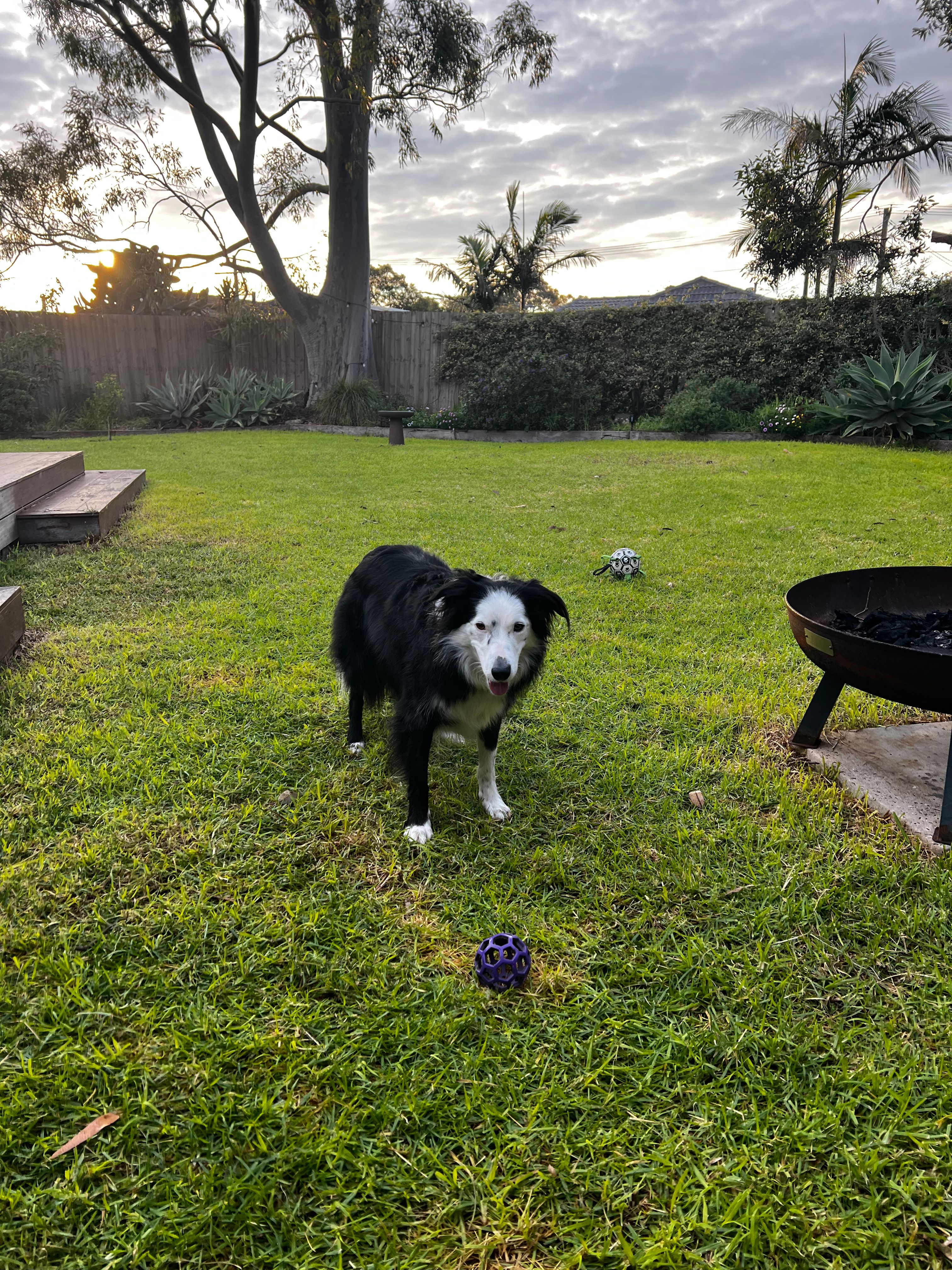 image-28