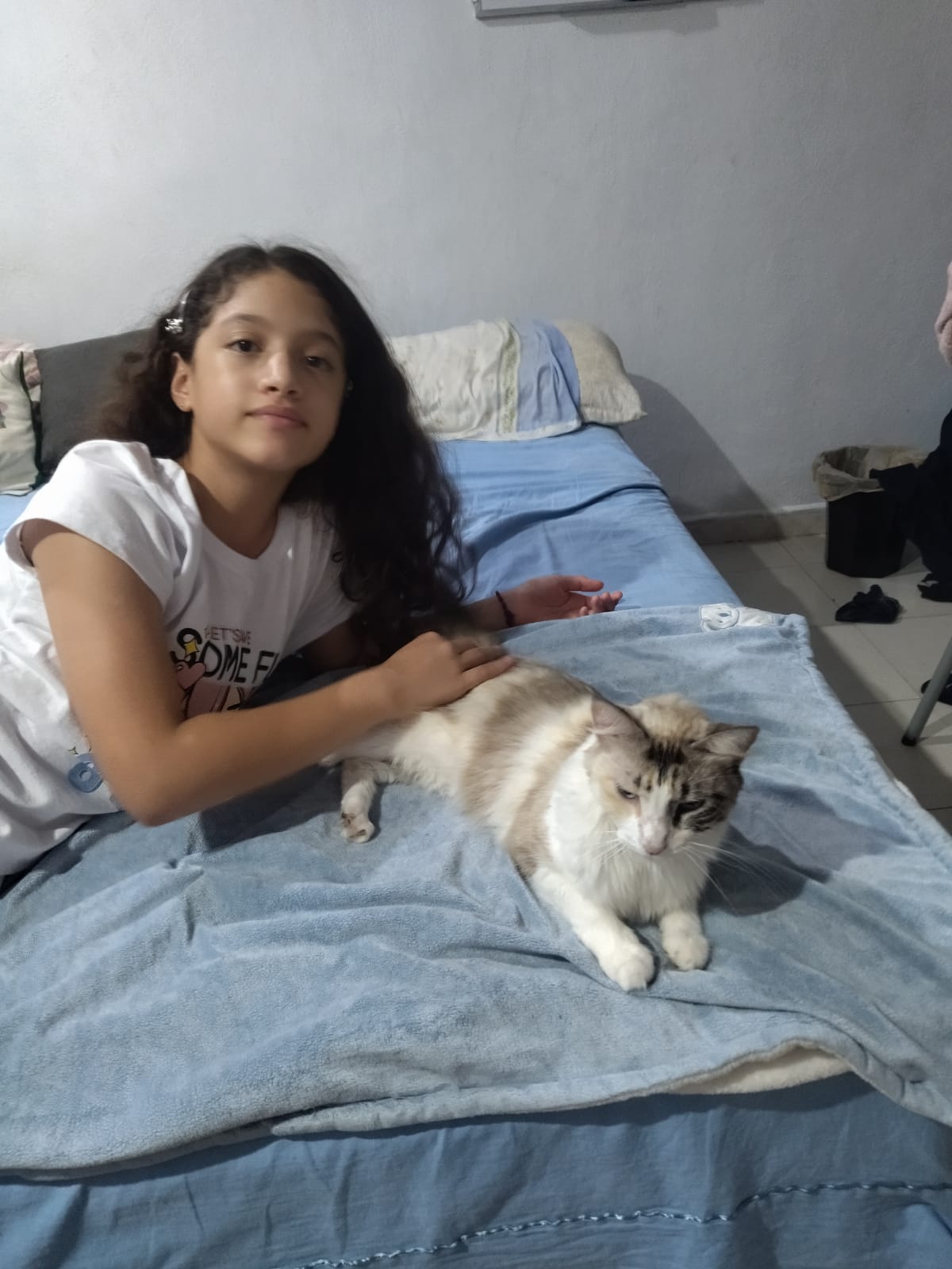 image-6