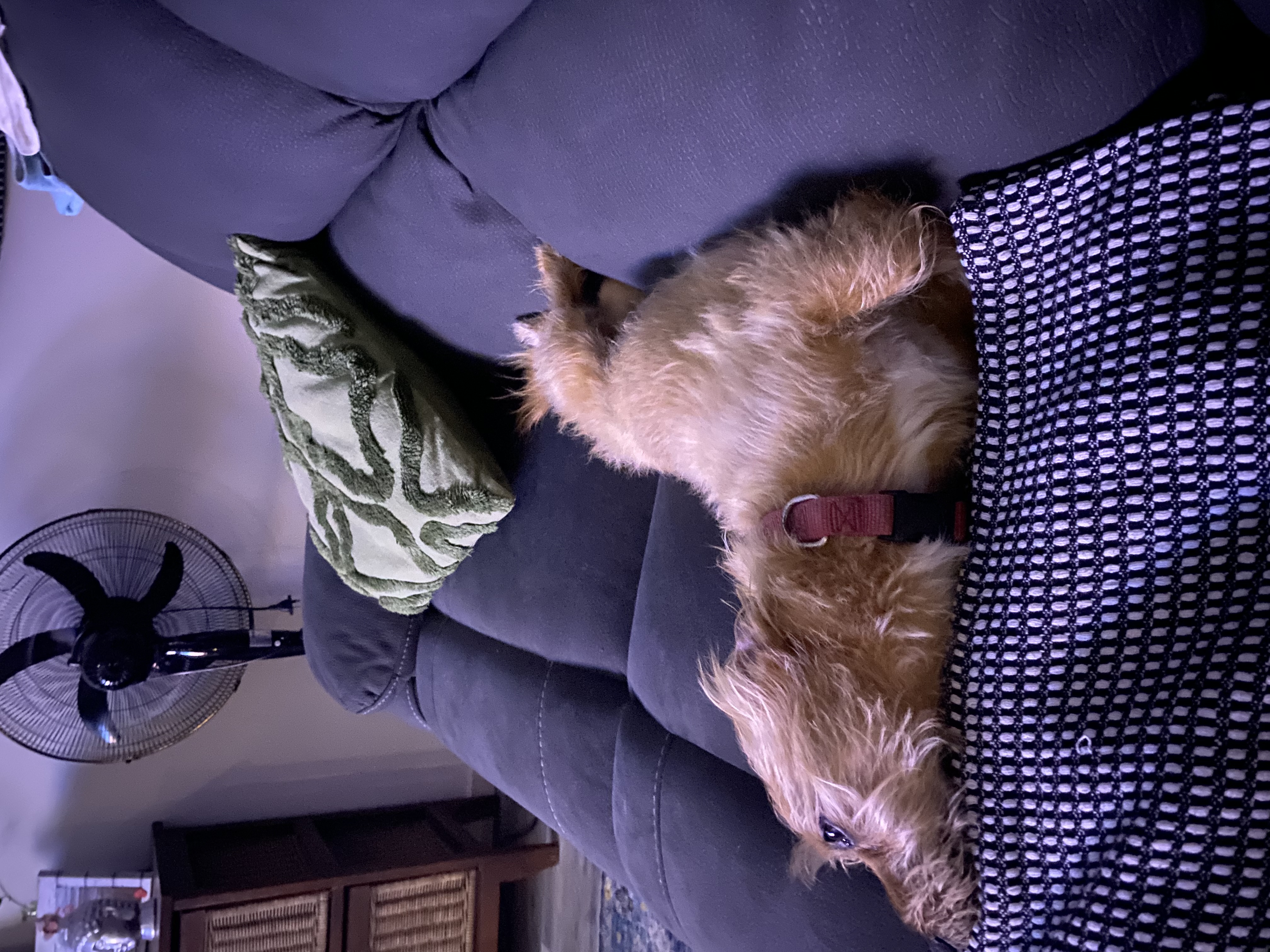 image-8