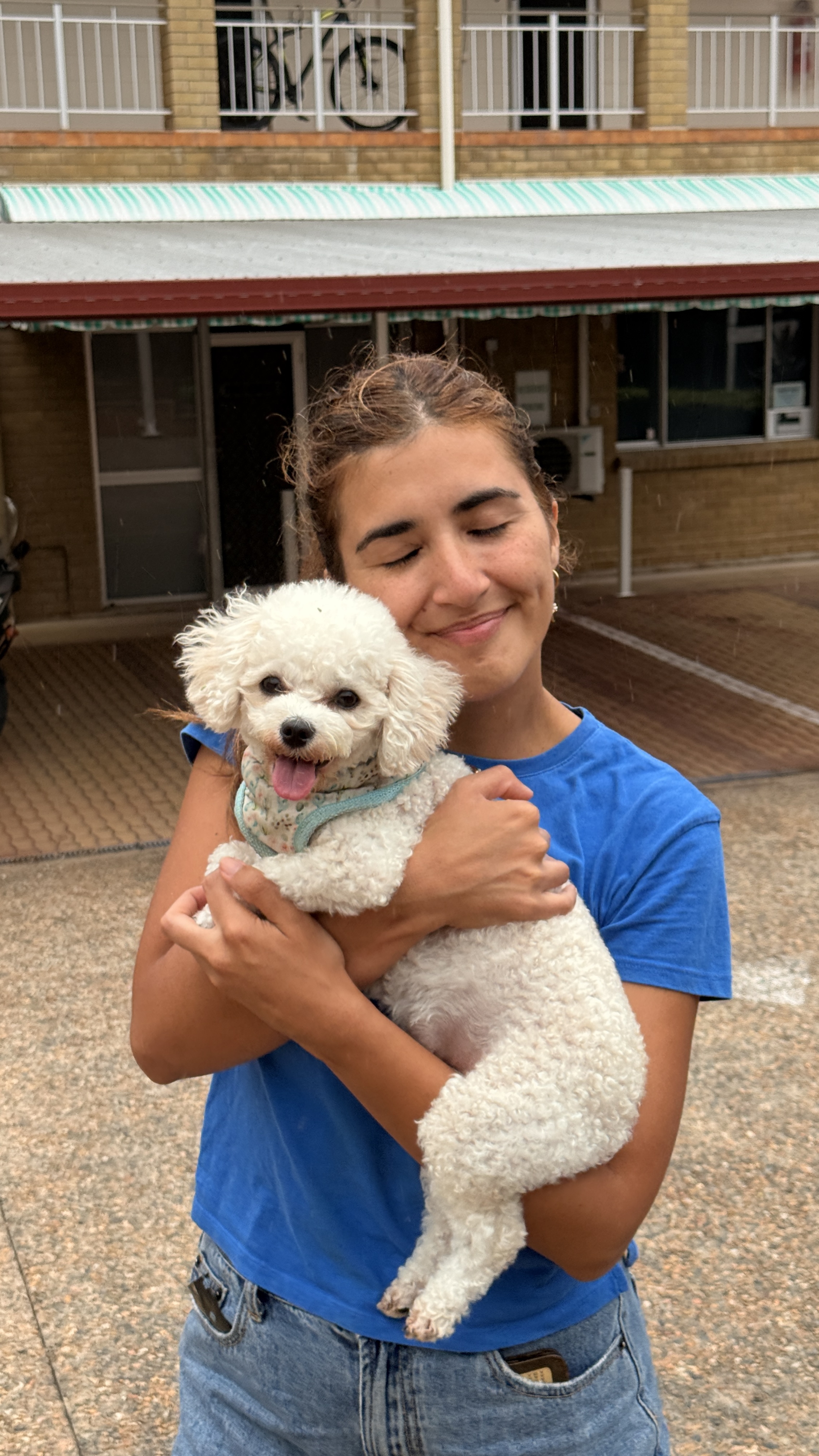image-6