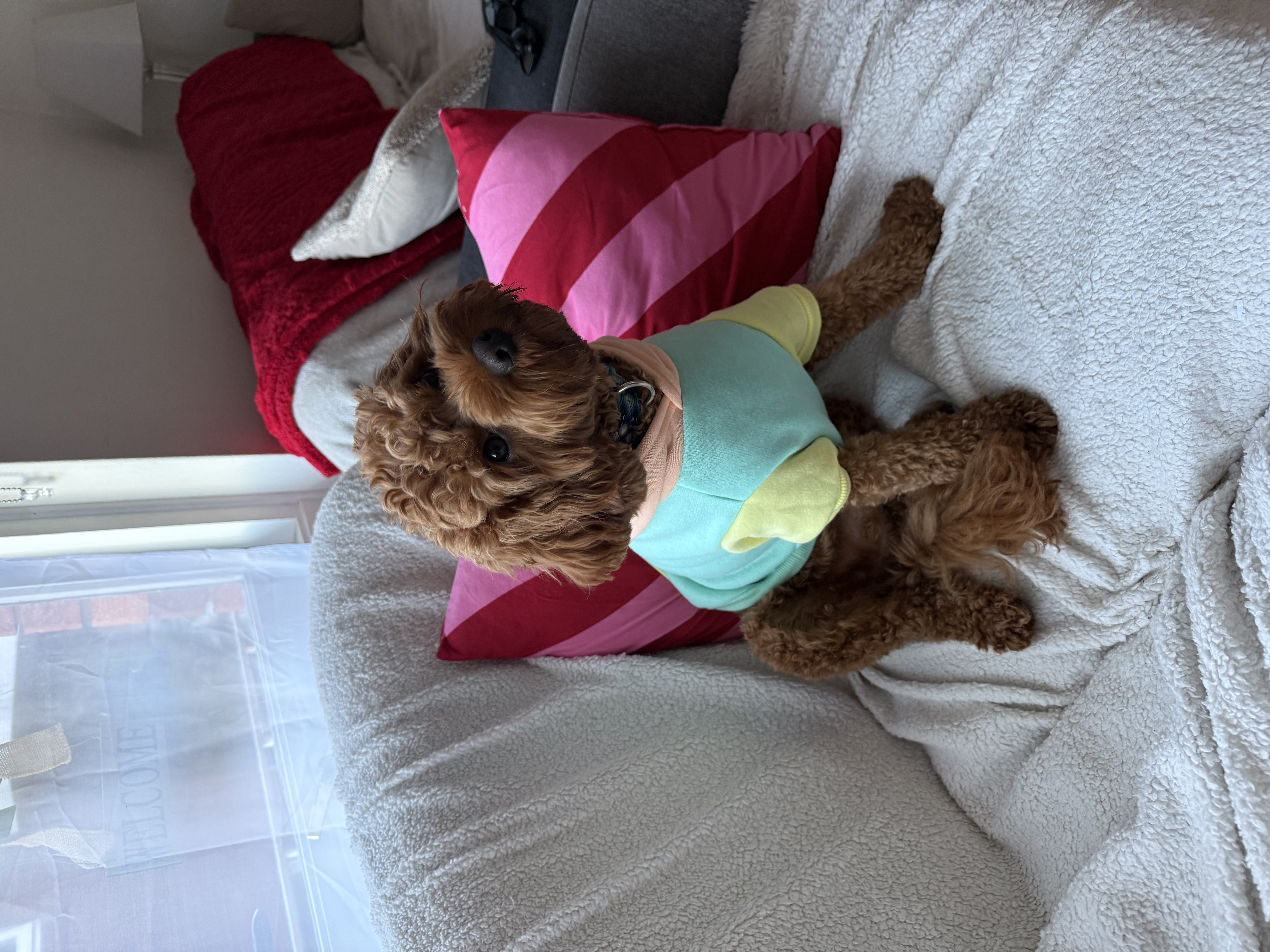 image-9