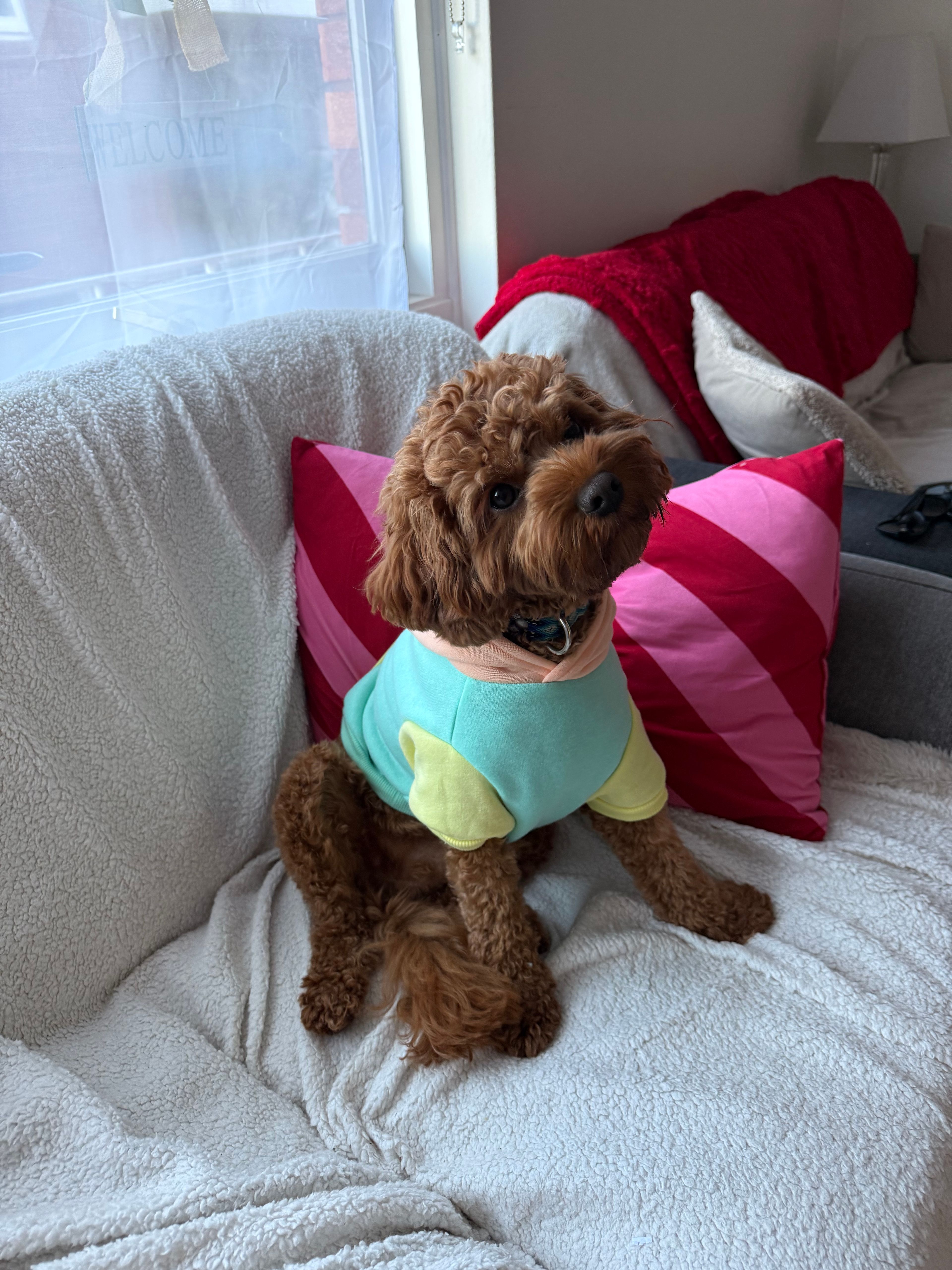 image-9