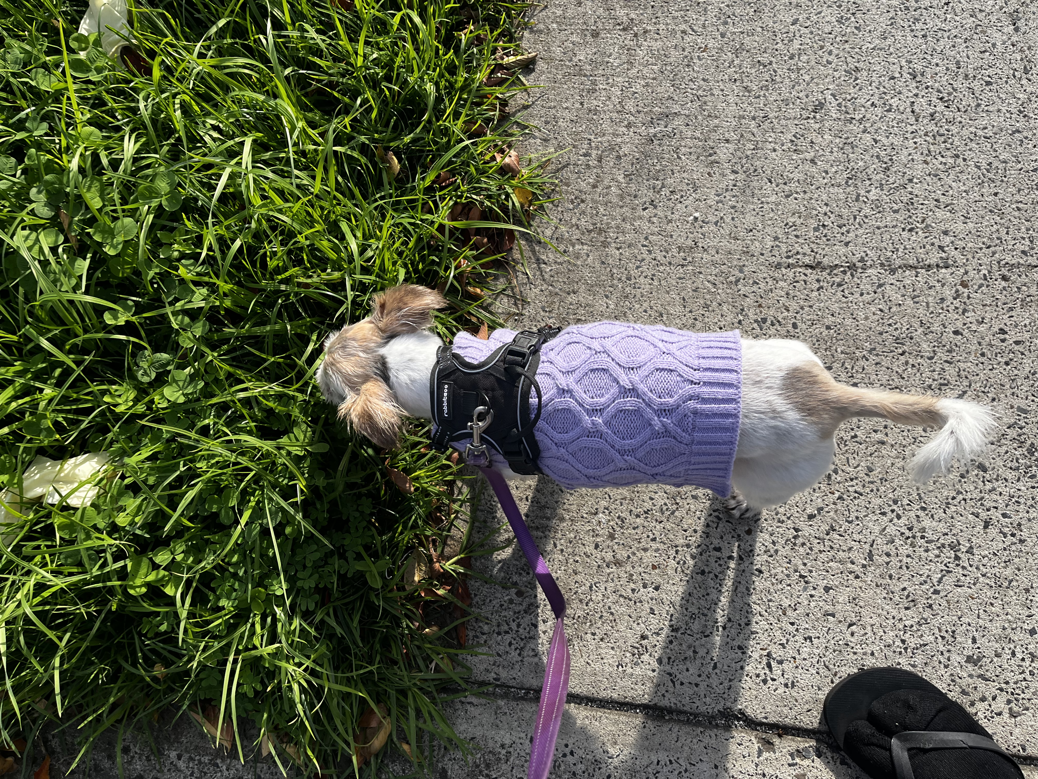 image-15