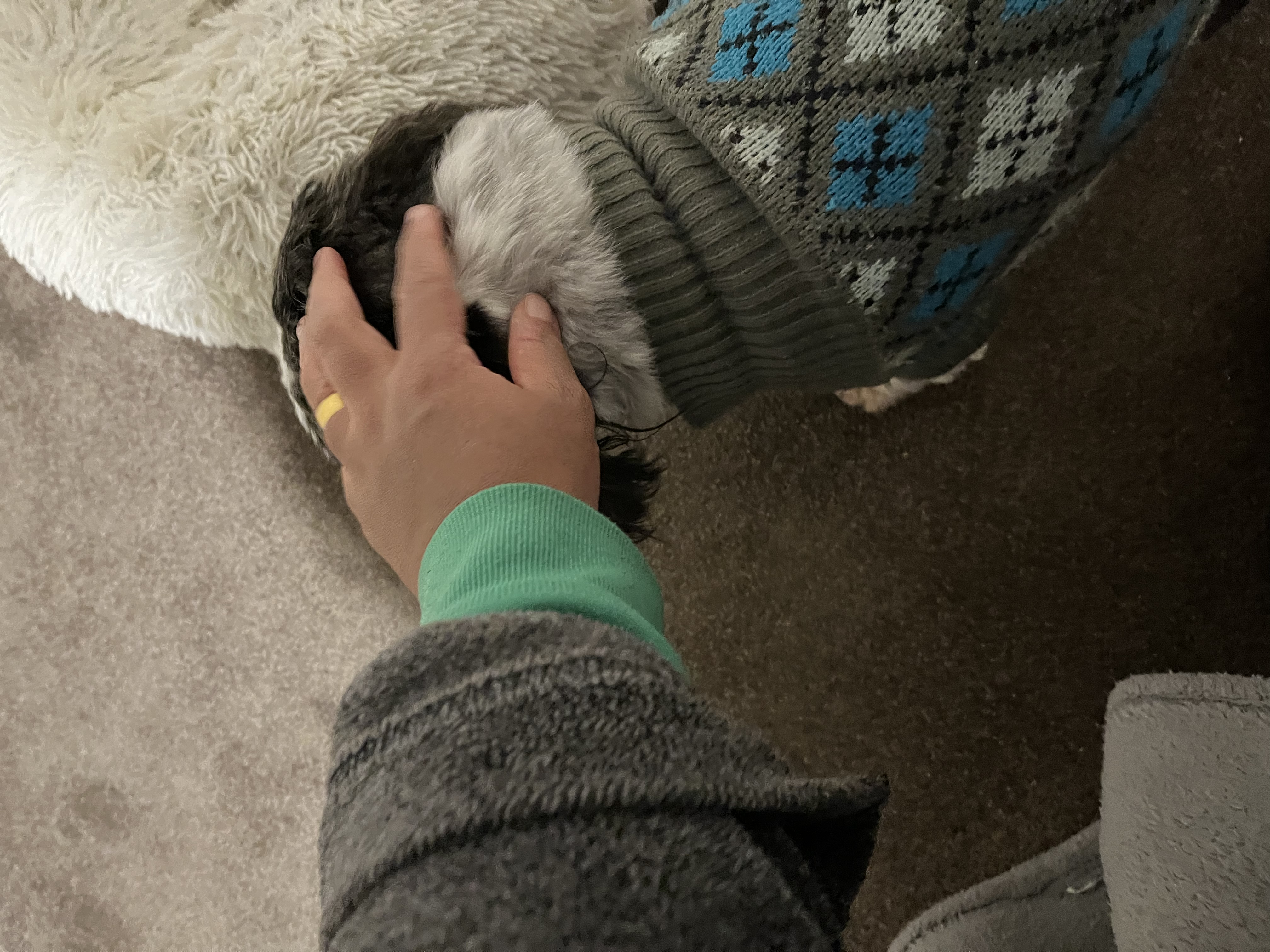 image-15