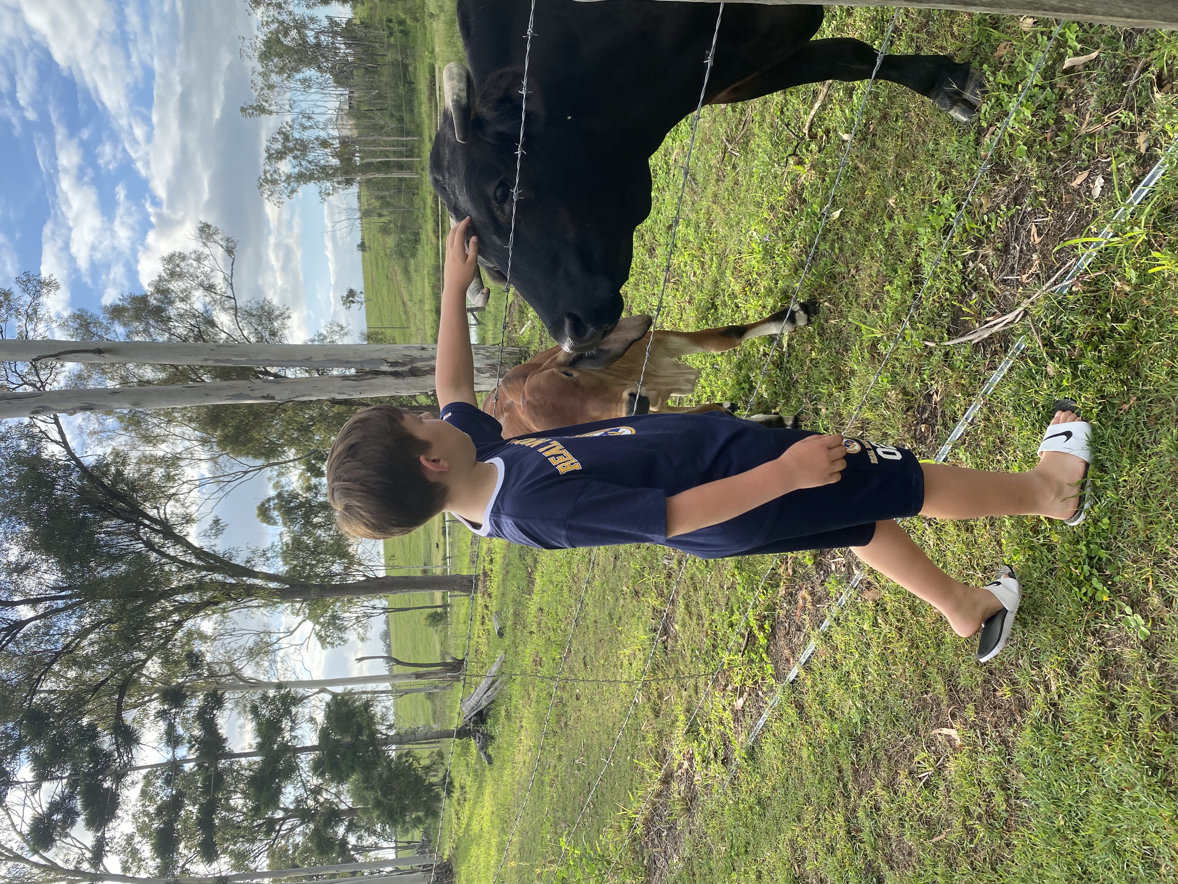 image-16