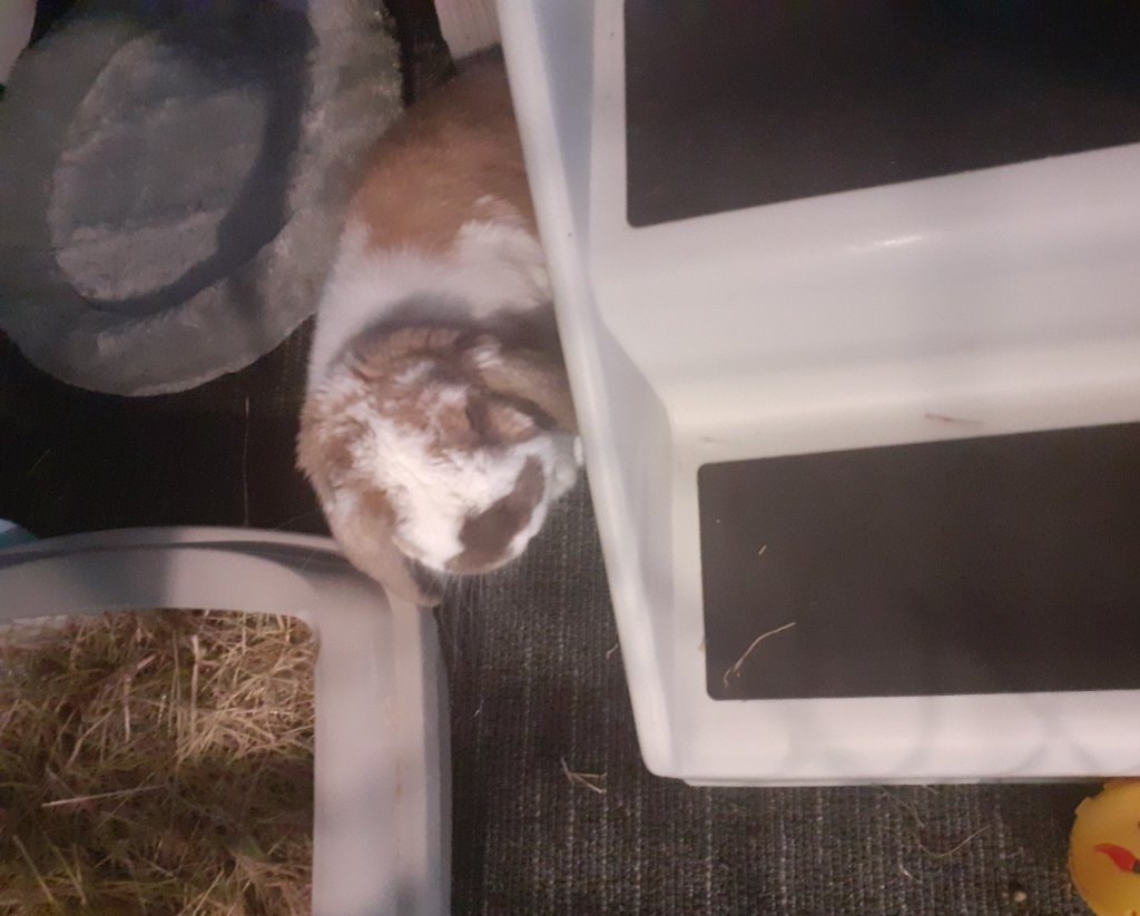 image-26
