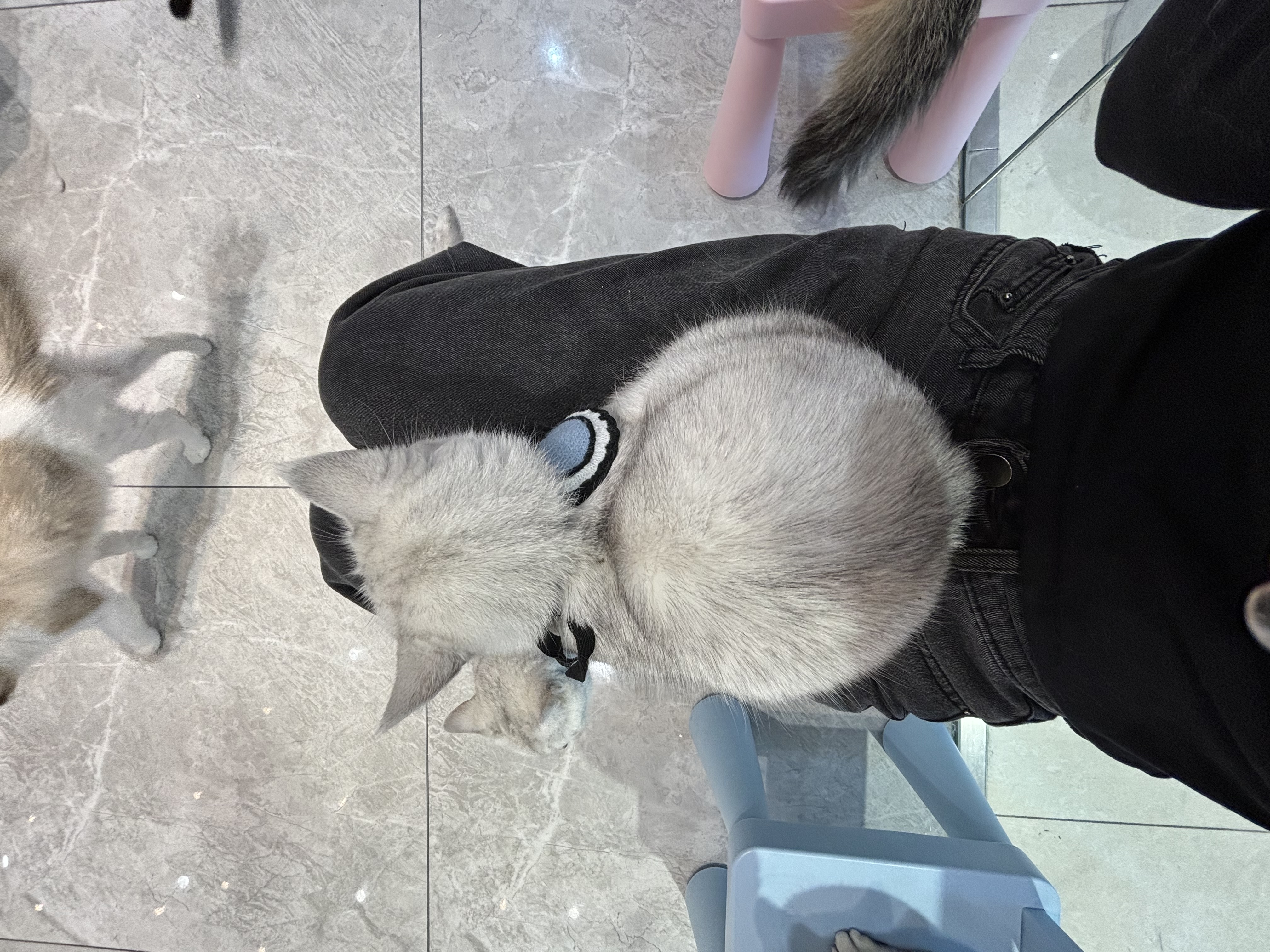 image-4