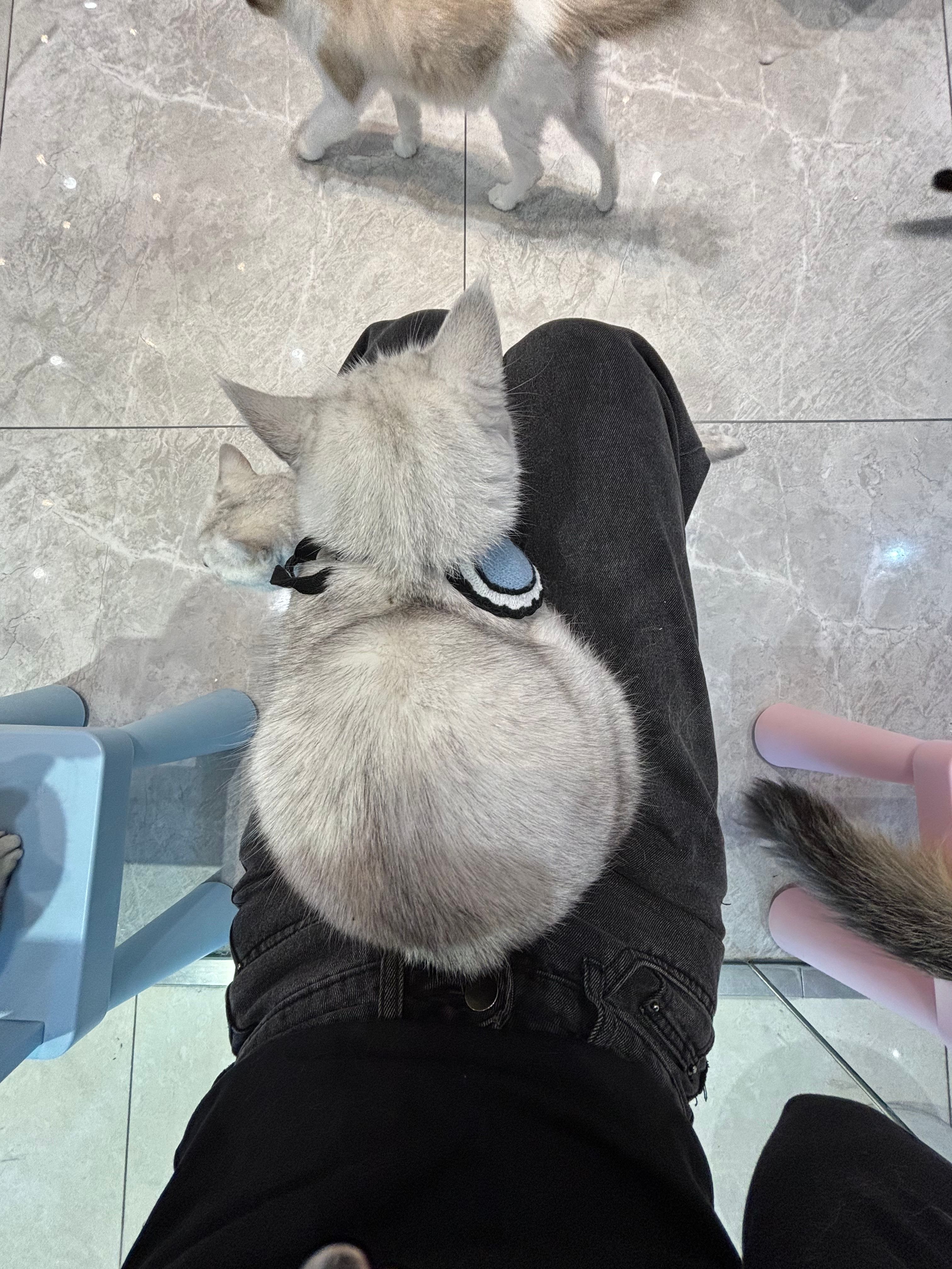 image-4