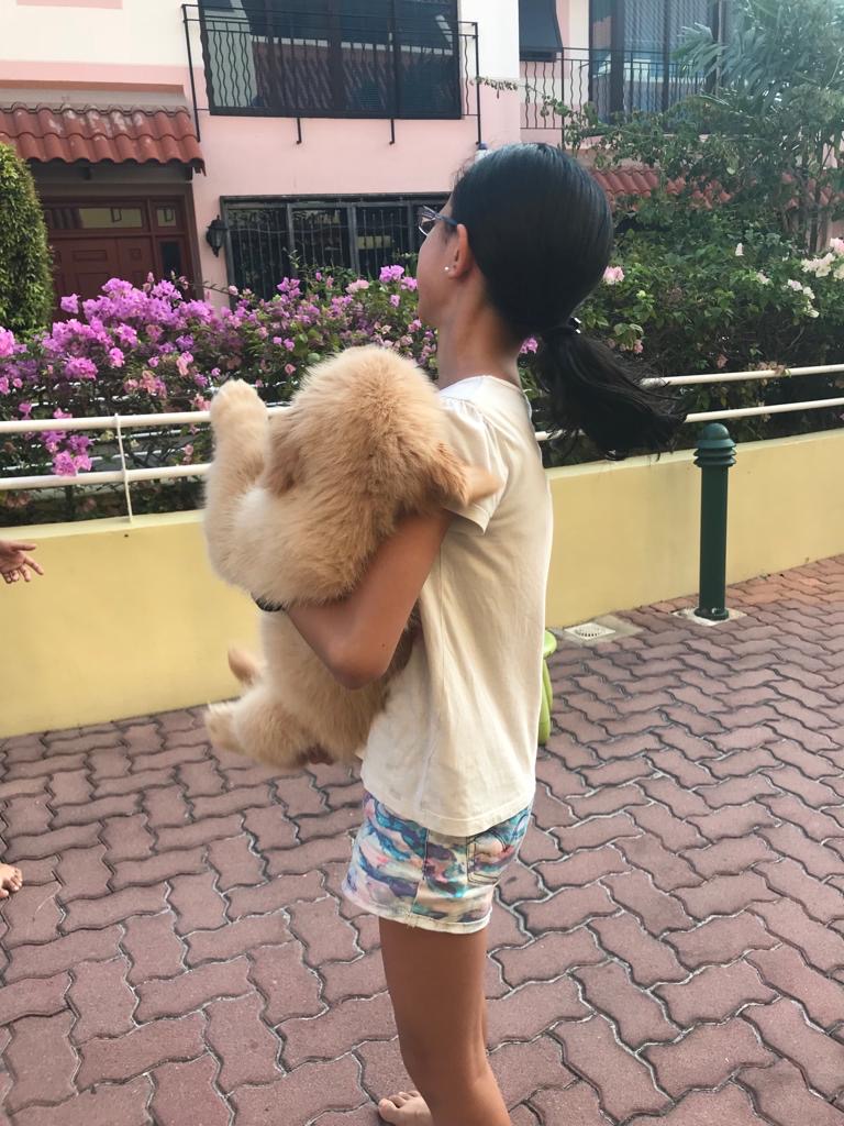 image-8