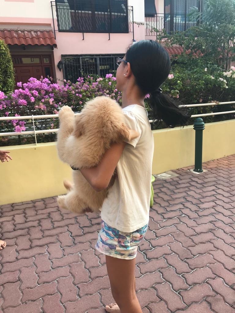 image-8