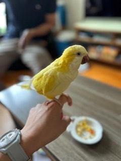 image-4