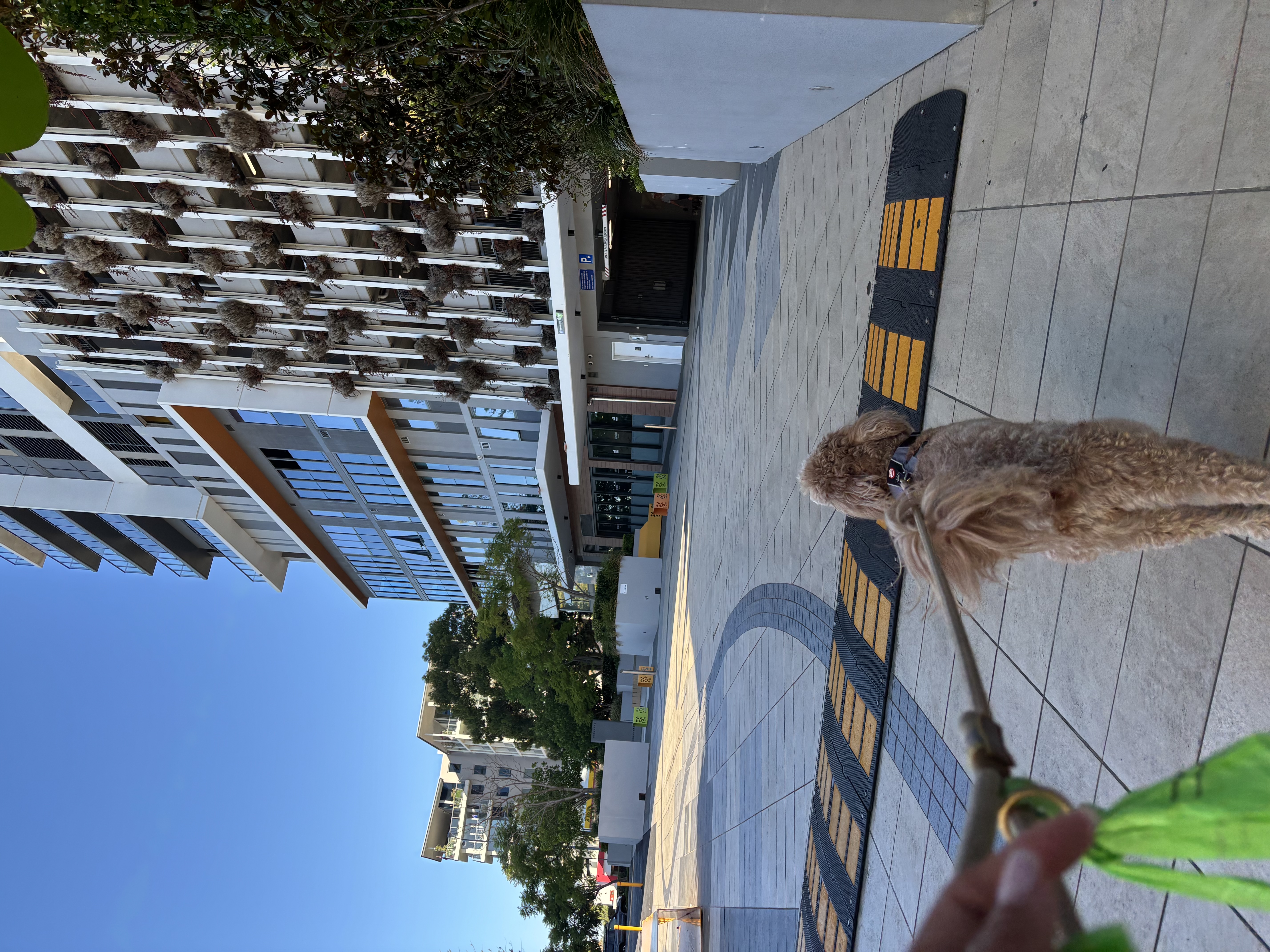 image-47