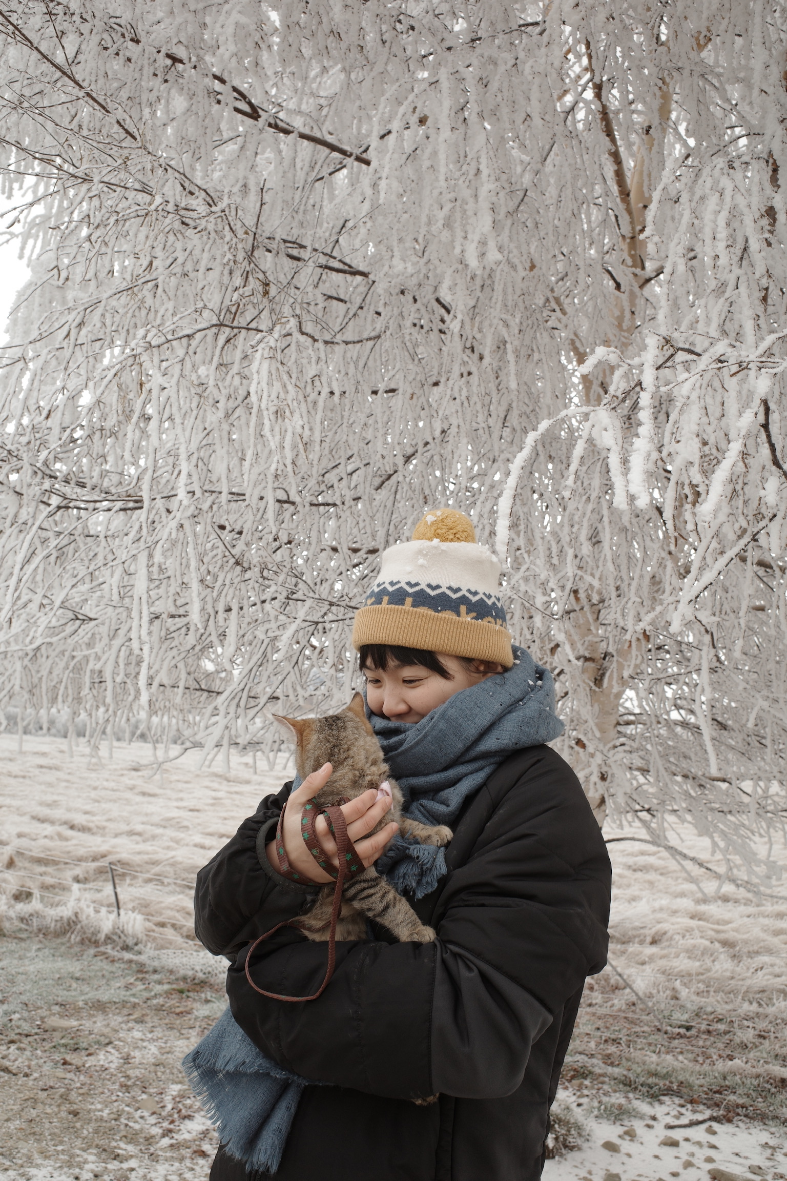 image-4