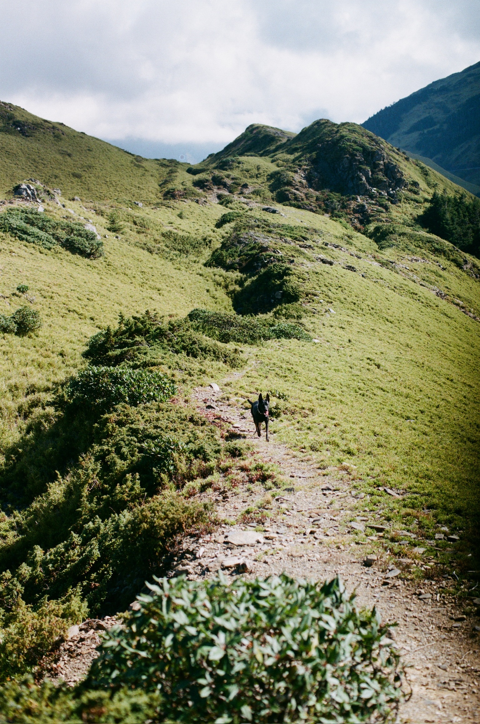 image-8