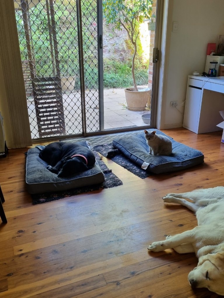 image-12
