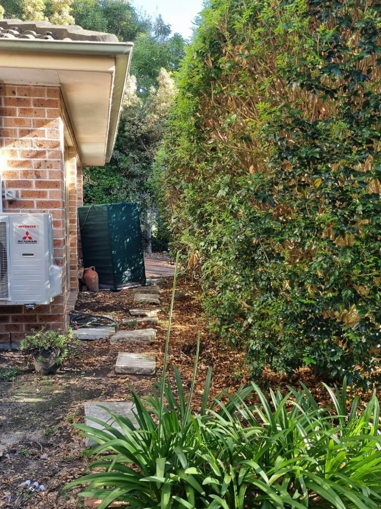image-14