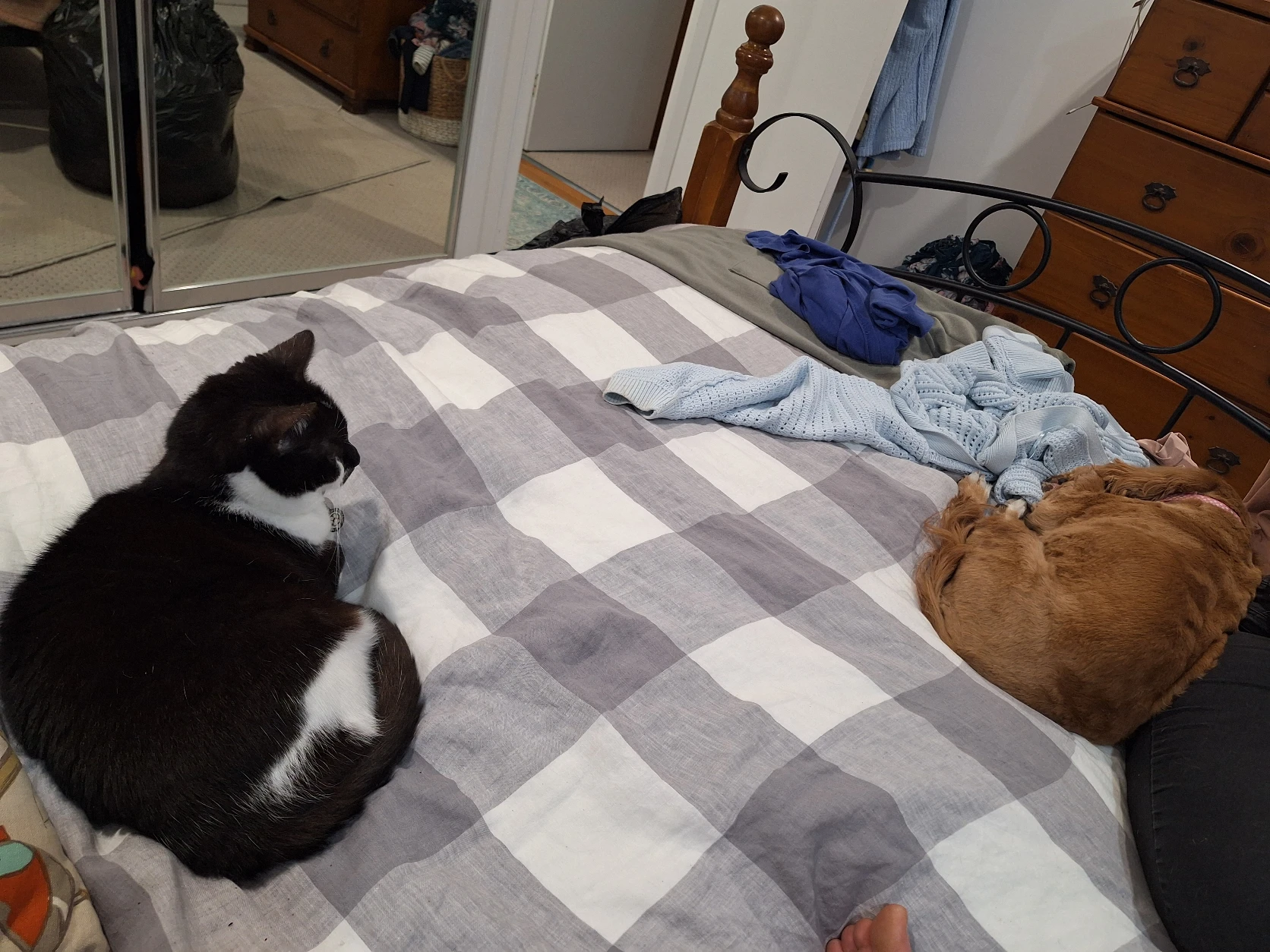 image-14