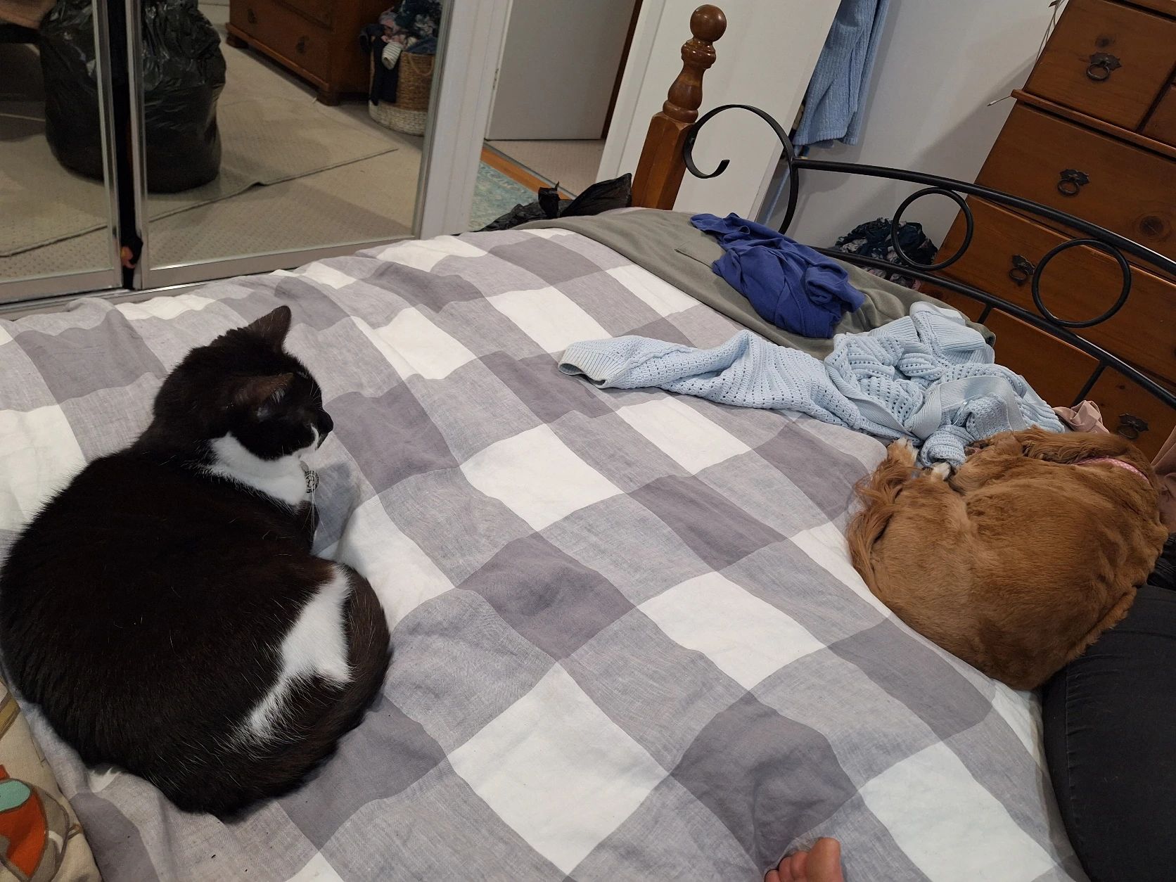 image-14