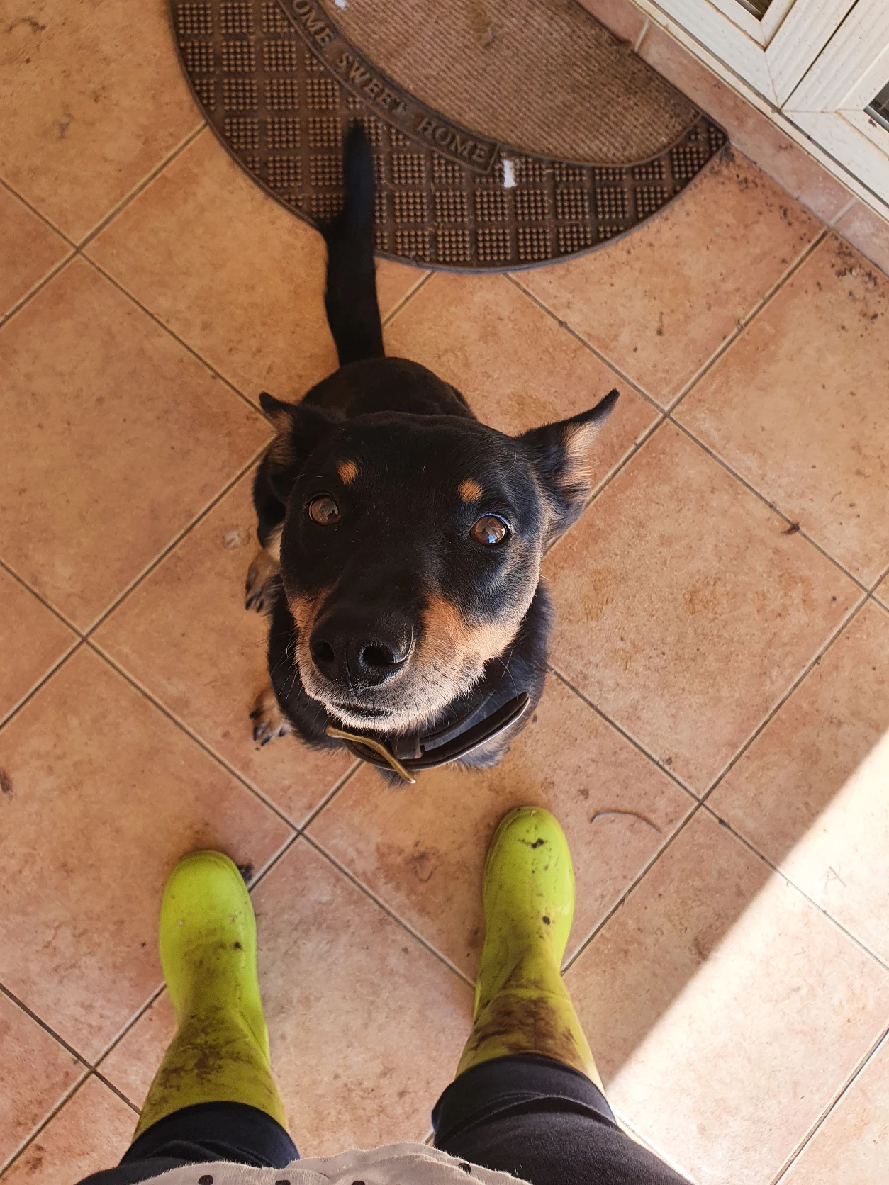 image-8