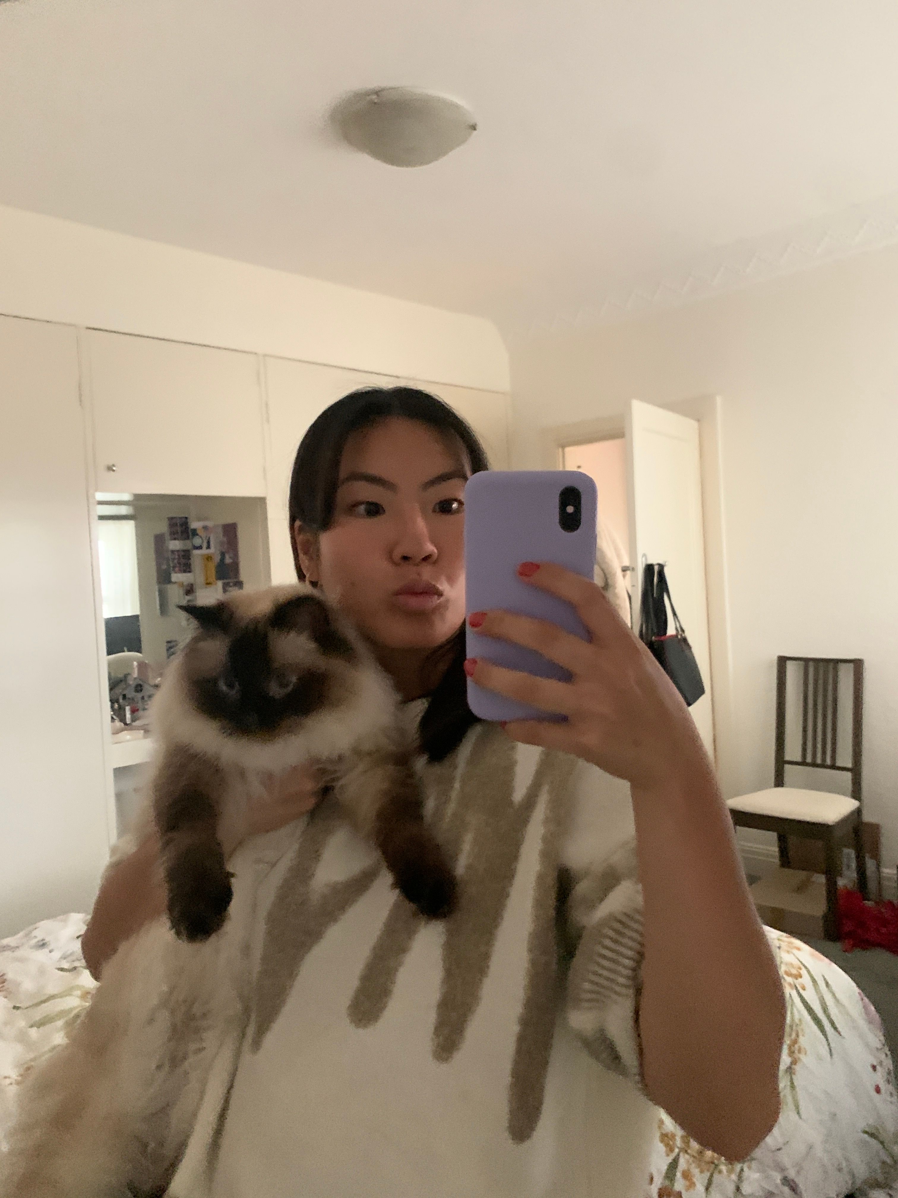 image-6