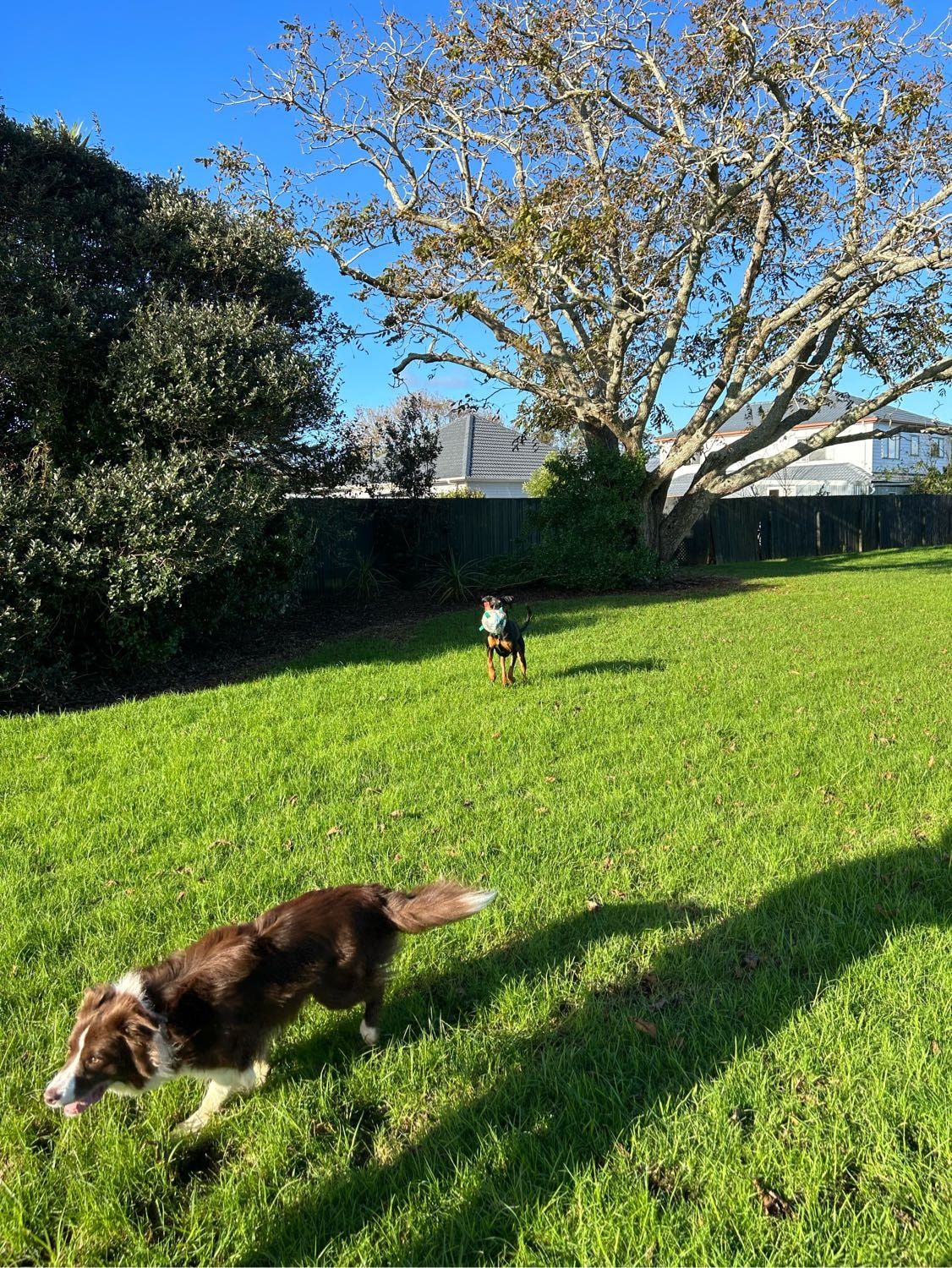 image-6