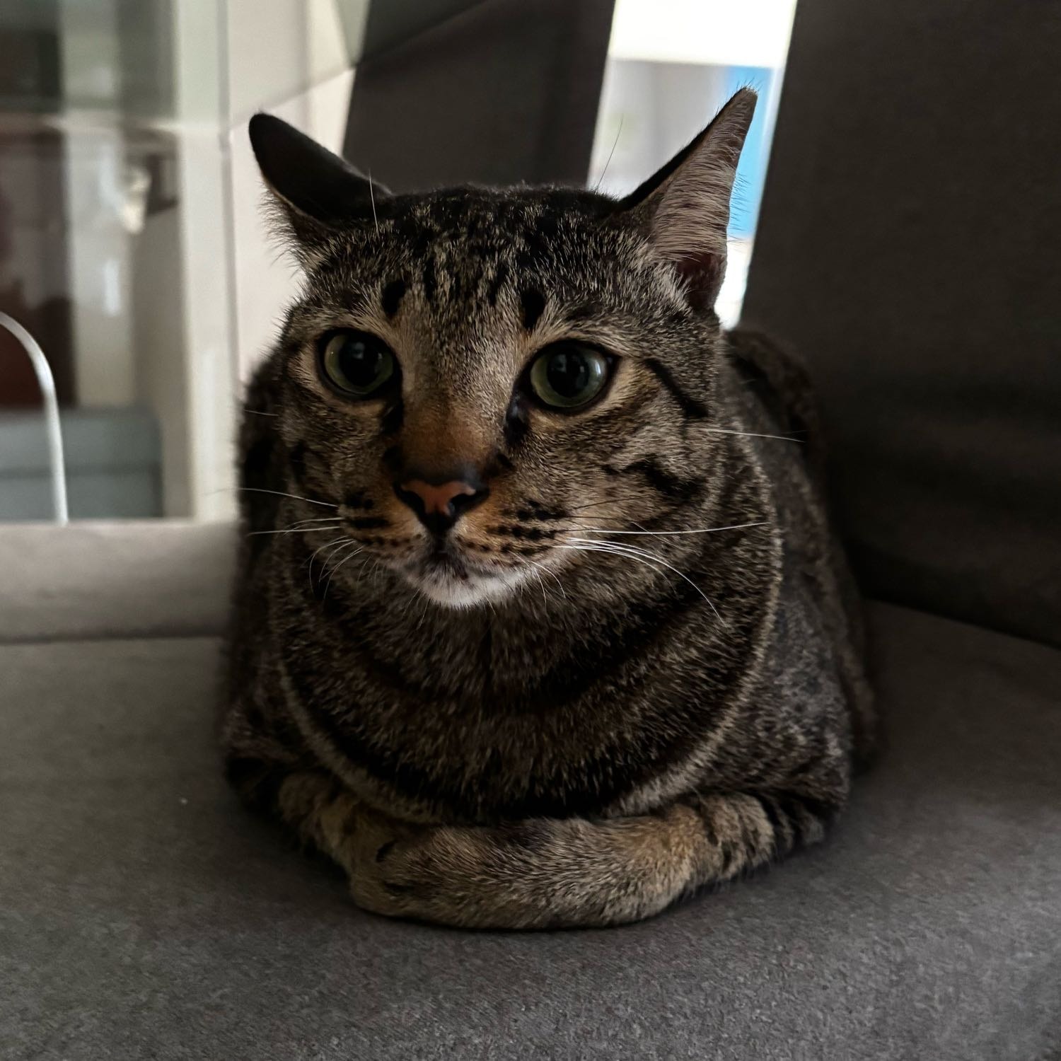 Frank