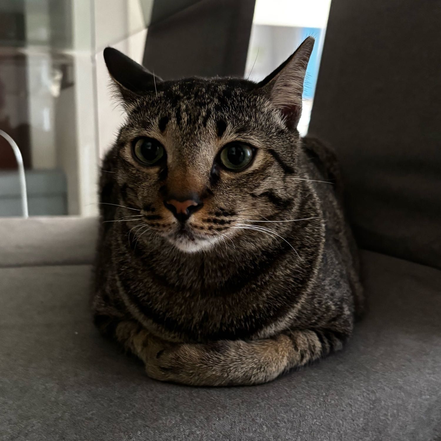 Frank