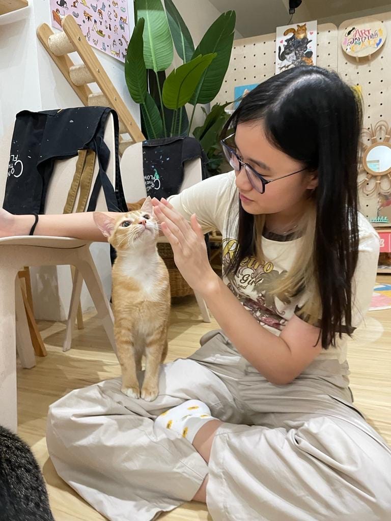 image-5