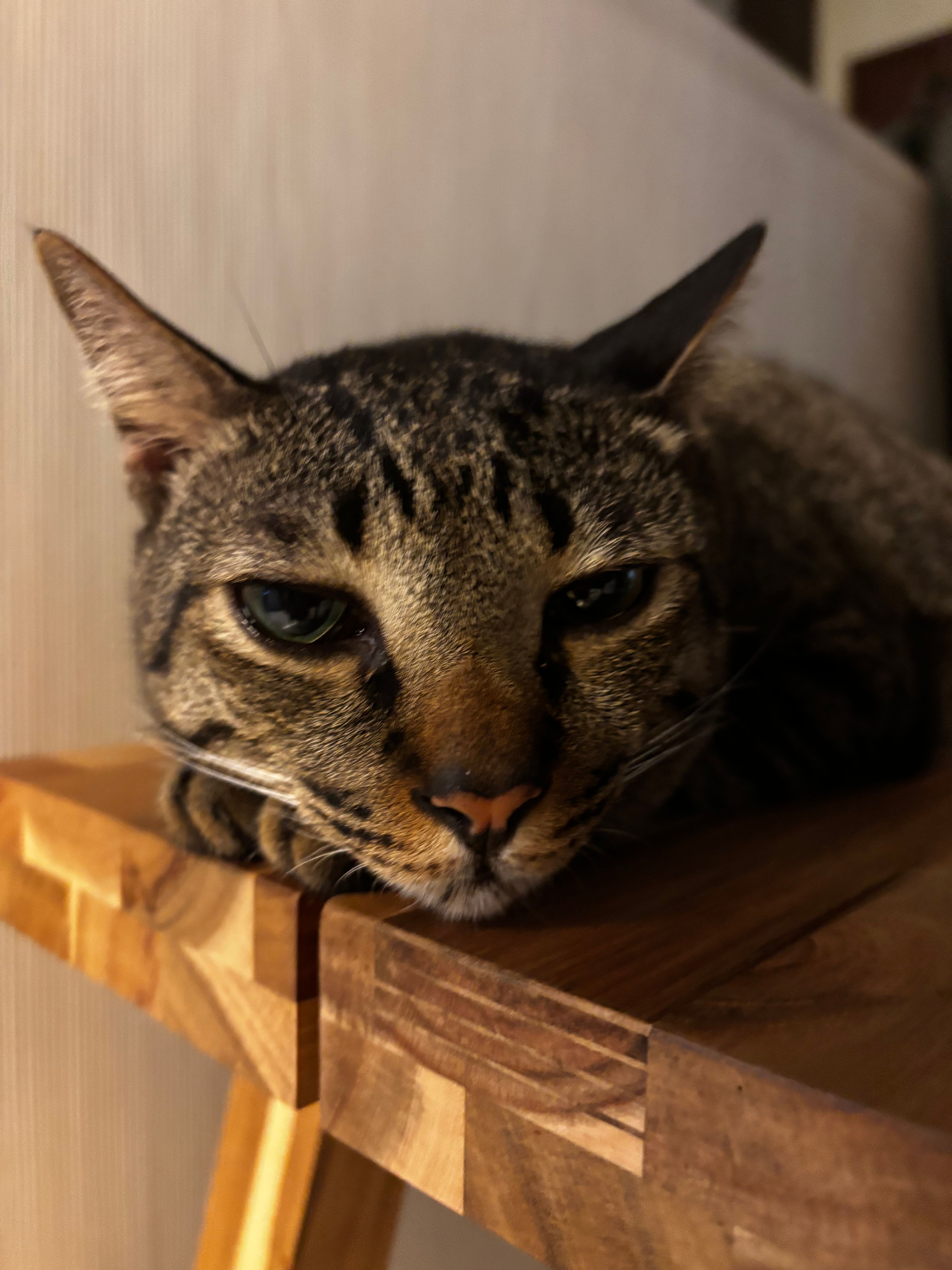 image-7