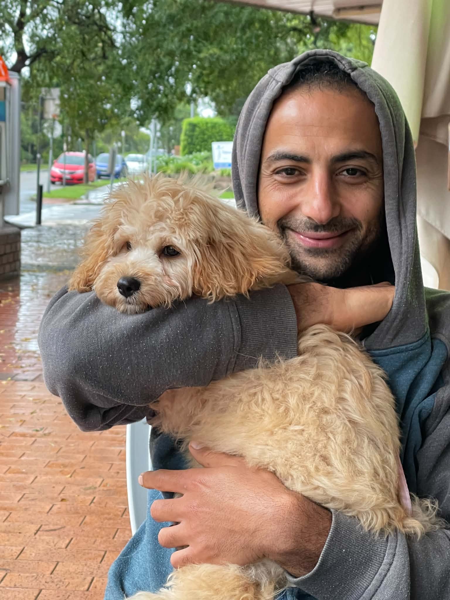 image-18