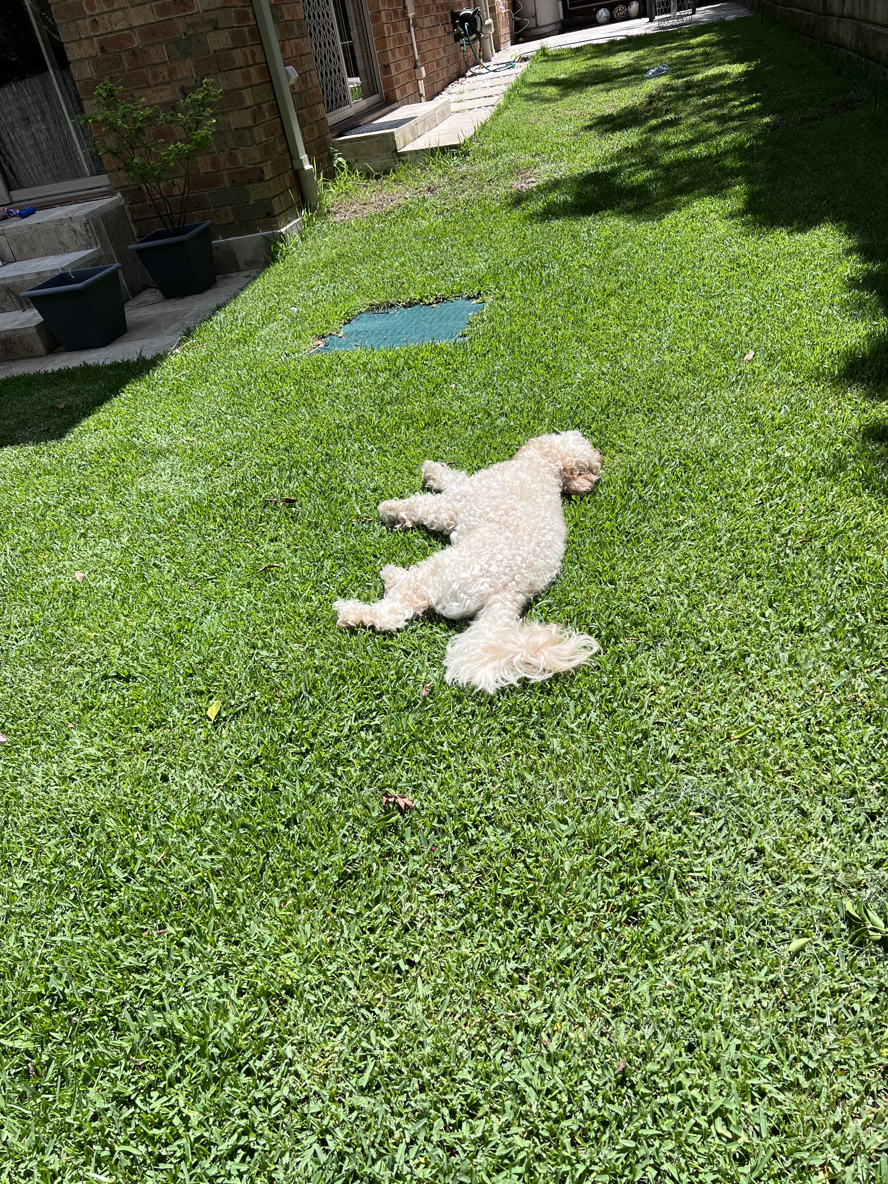 image-7