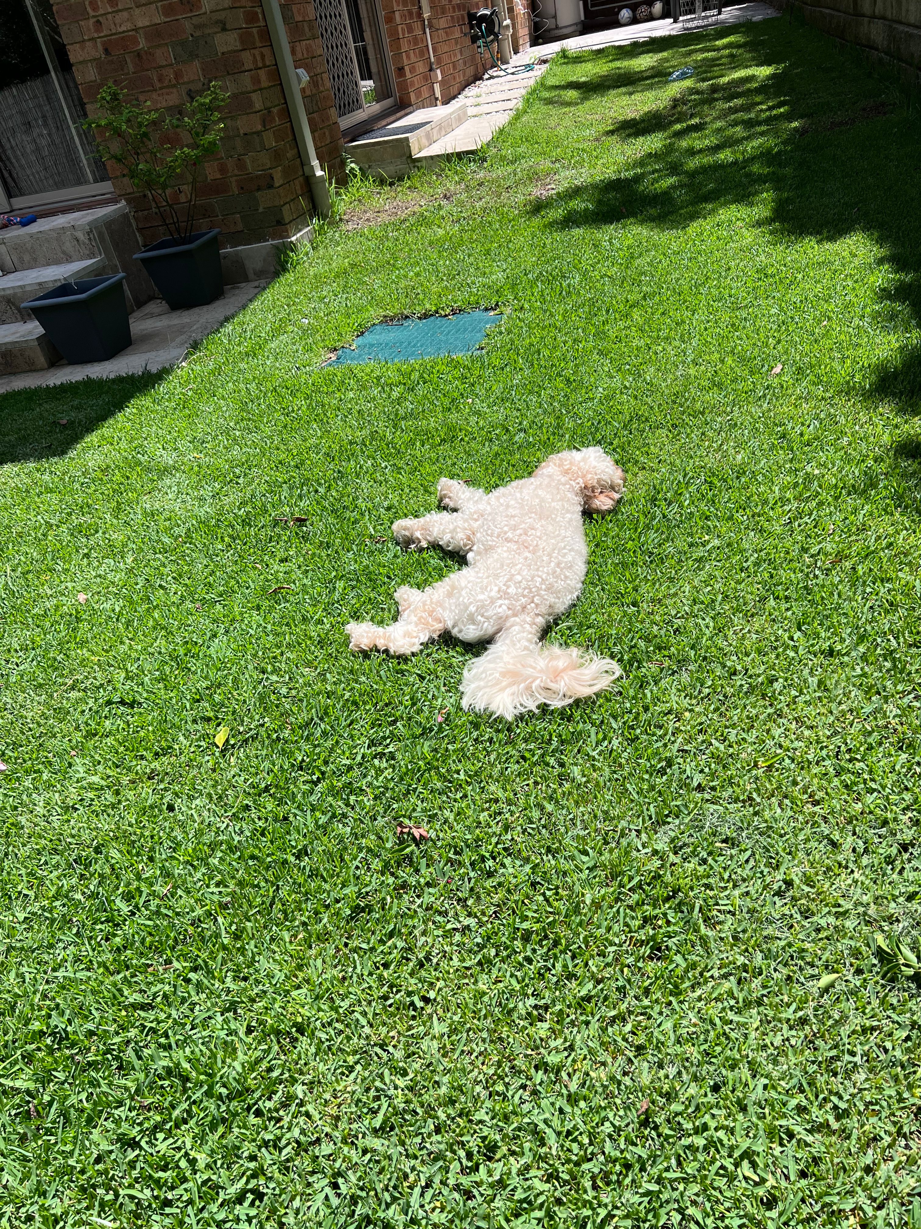image-7