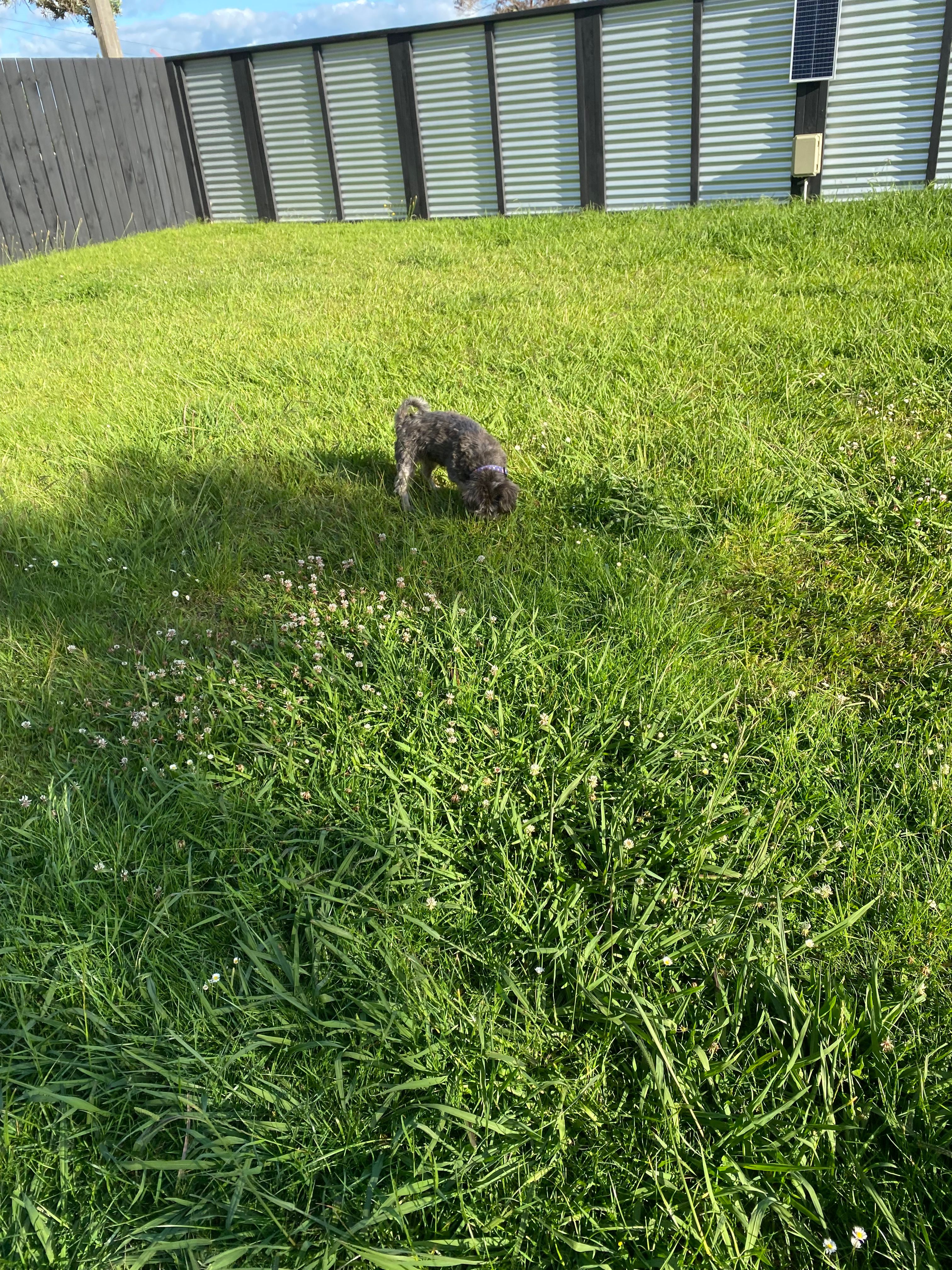 image-13