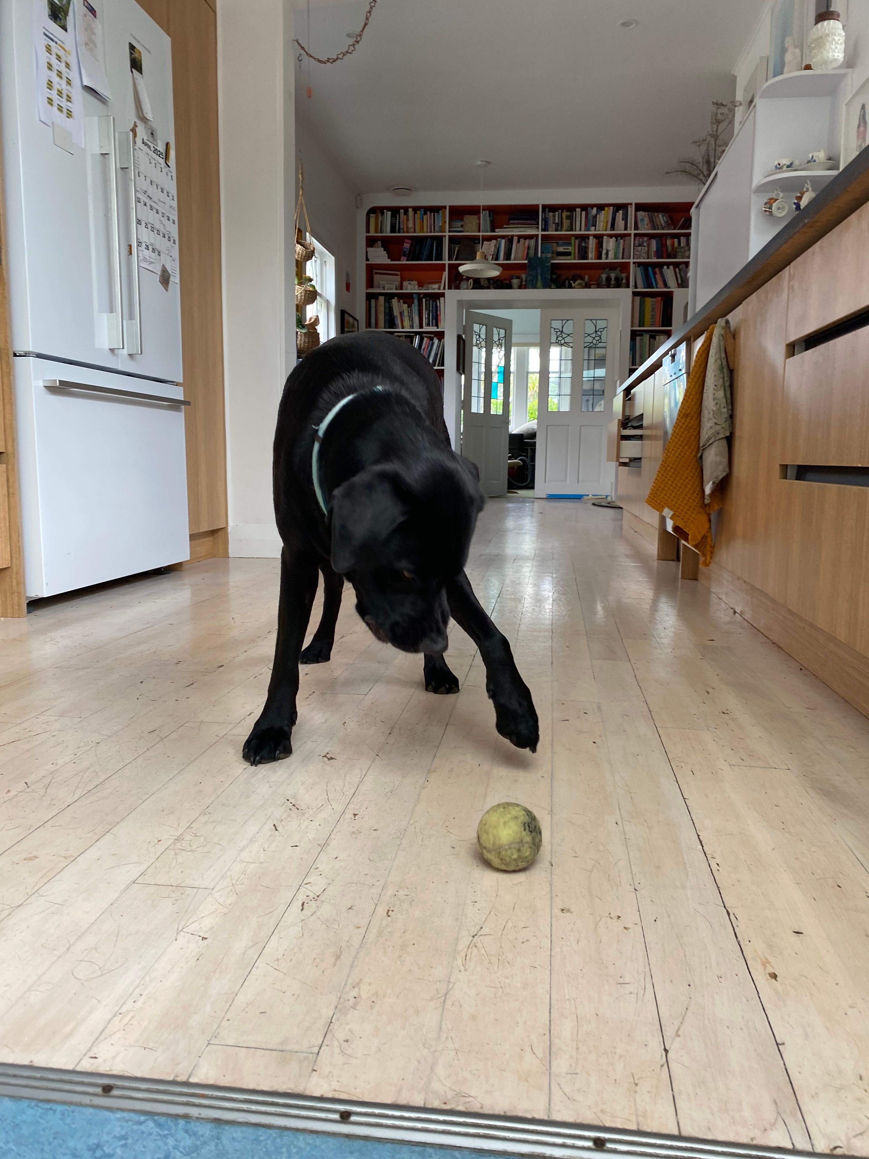 image-7