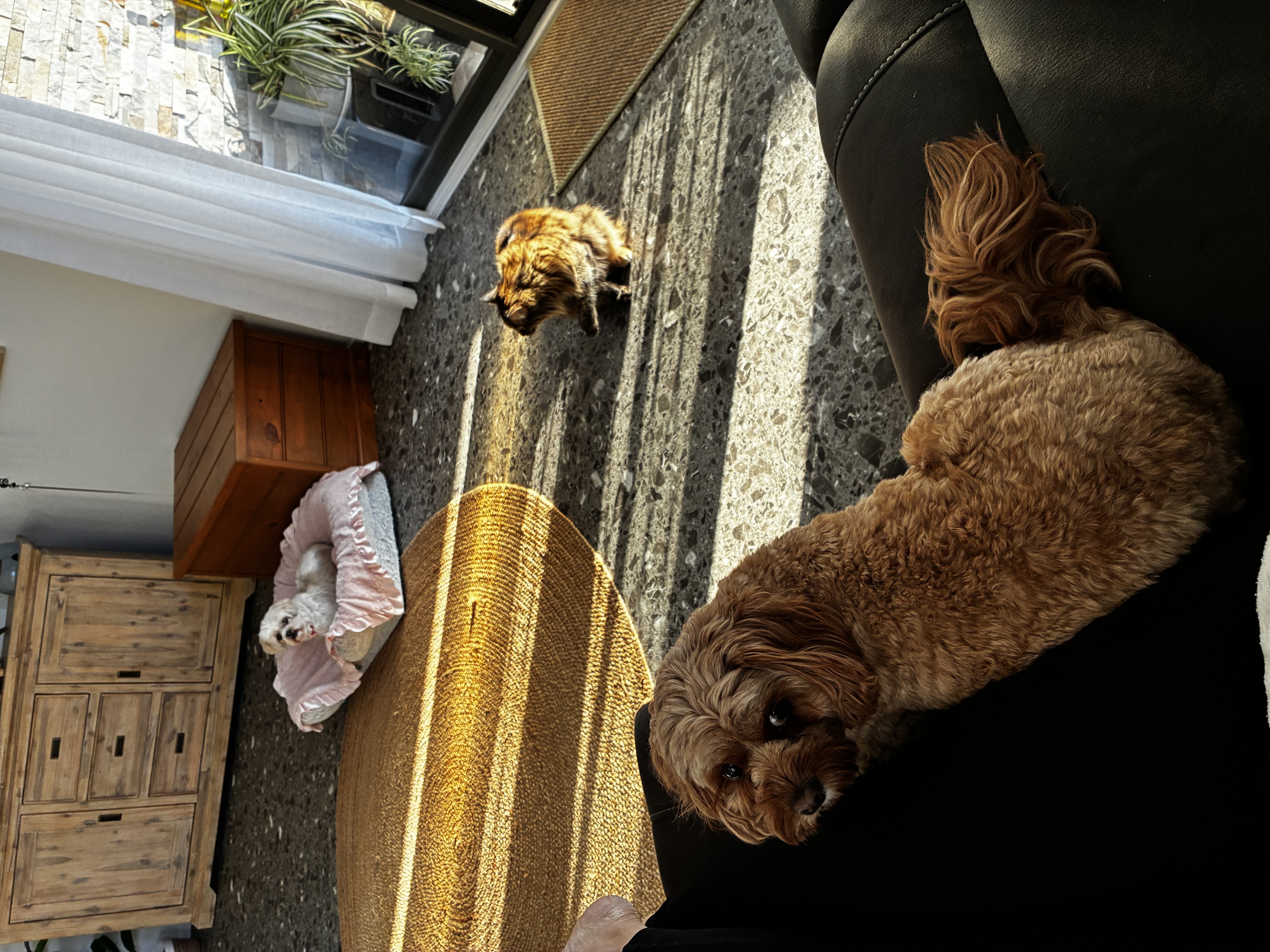 image-3