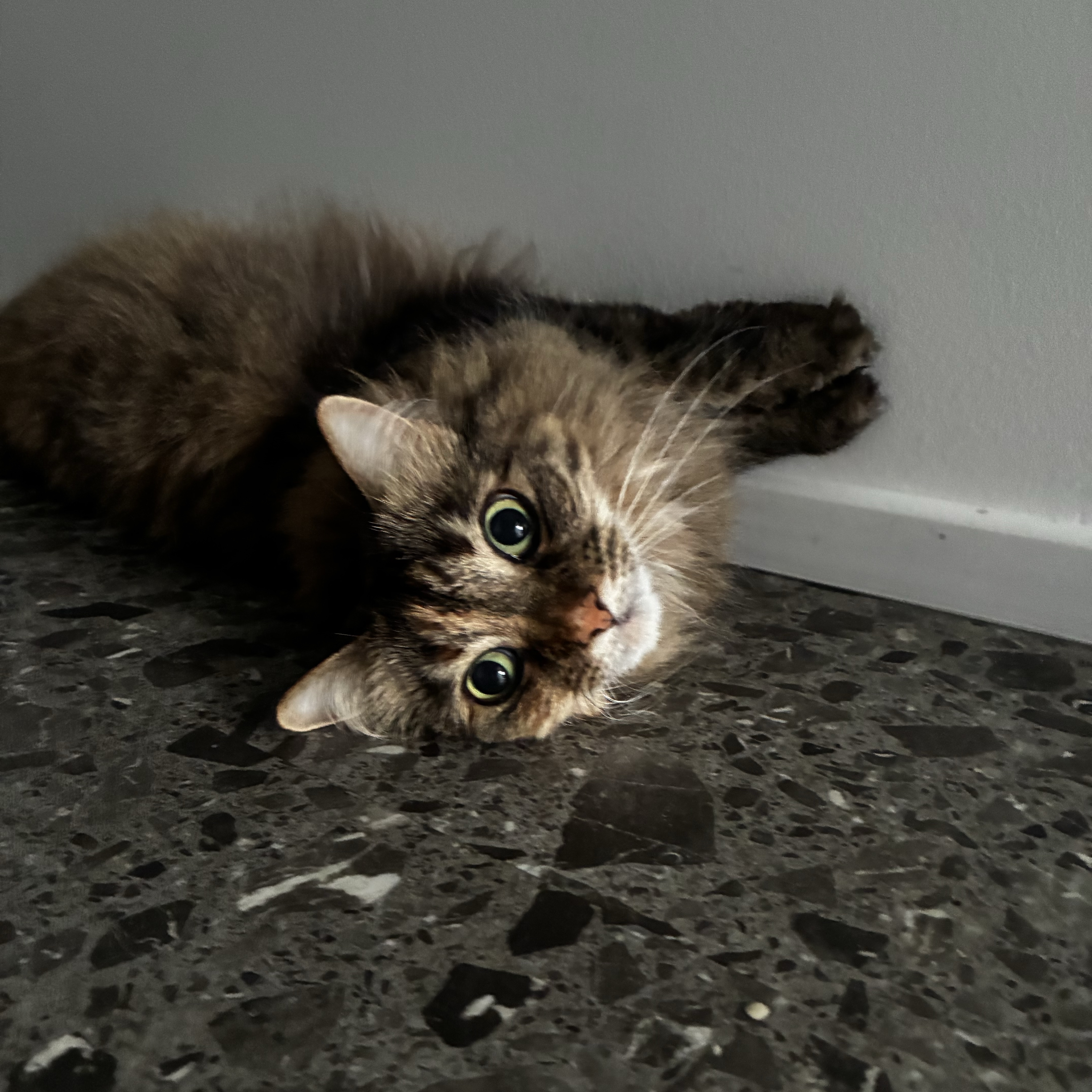 Fluffa