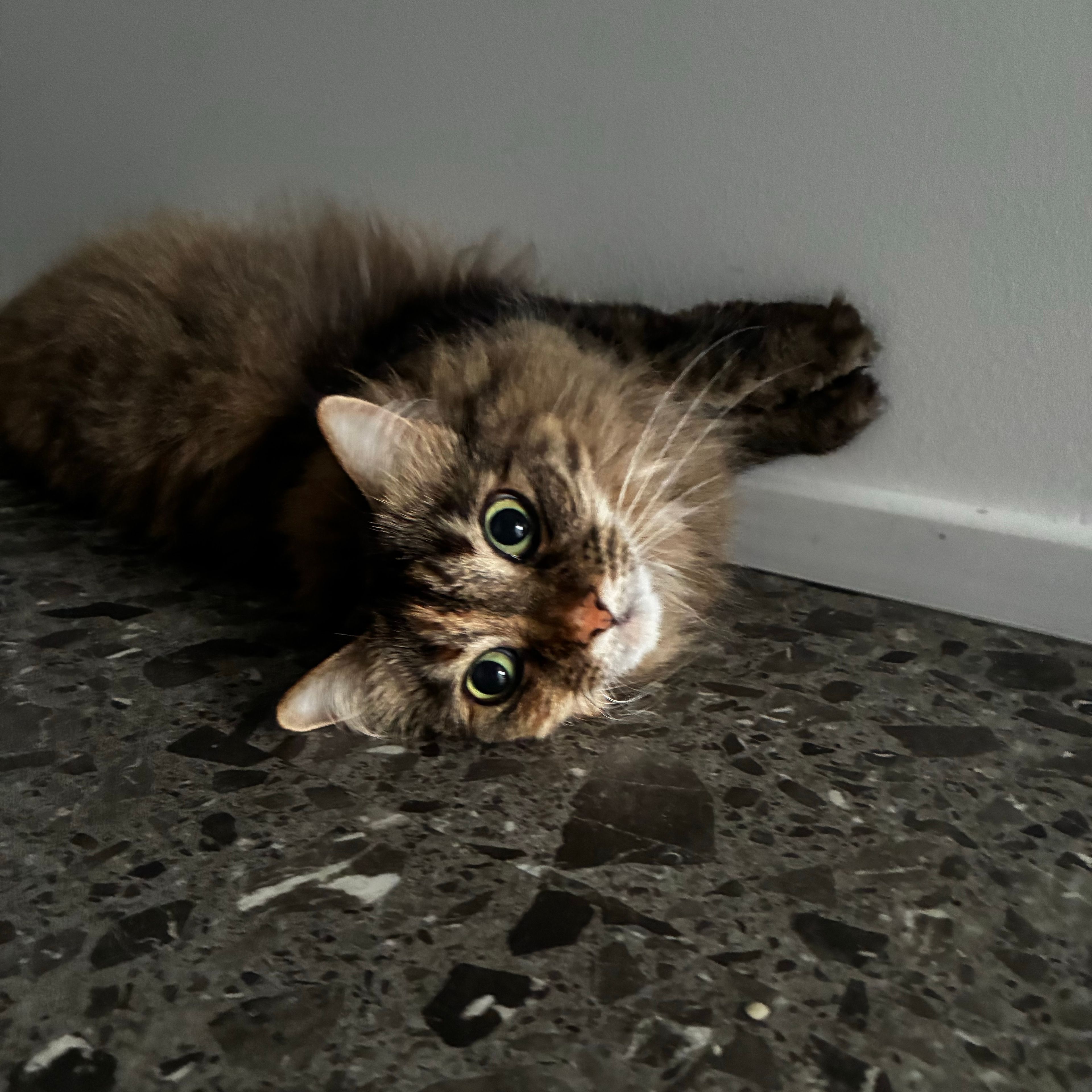Fluffa
