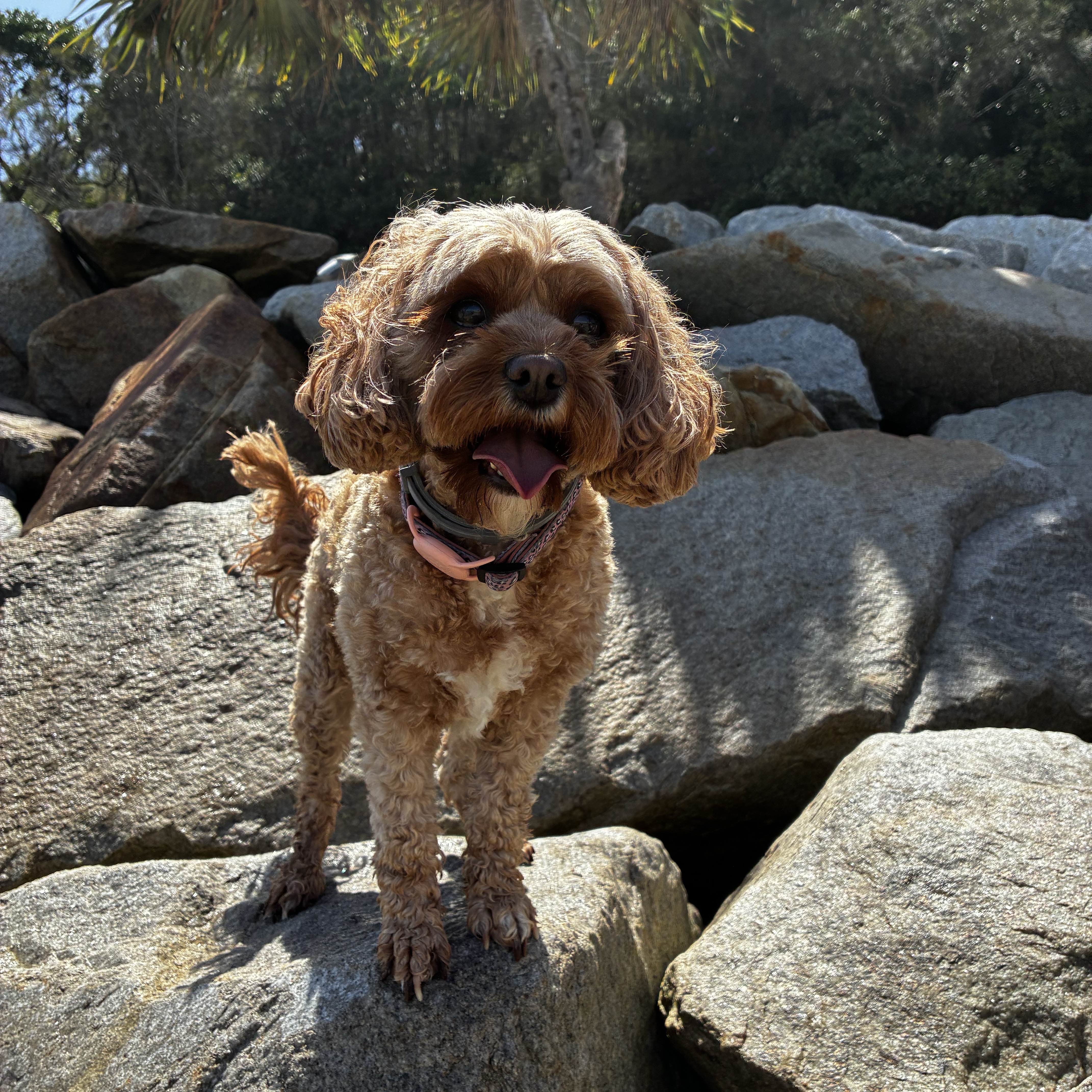 Ruby 