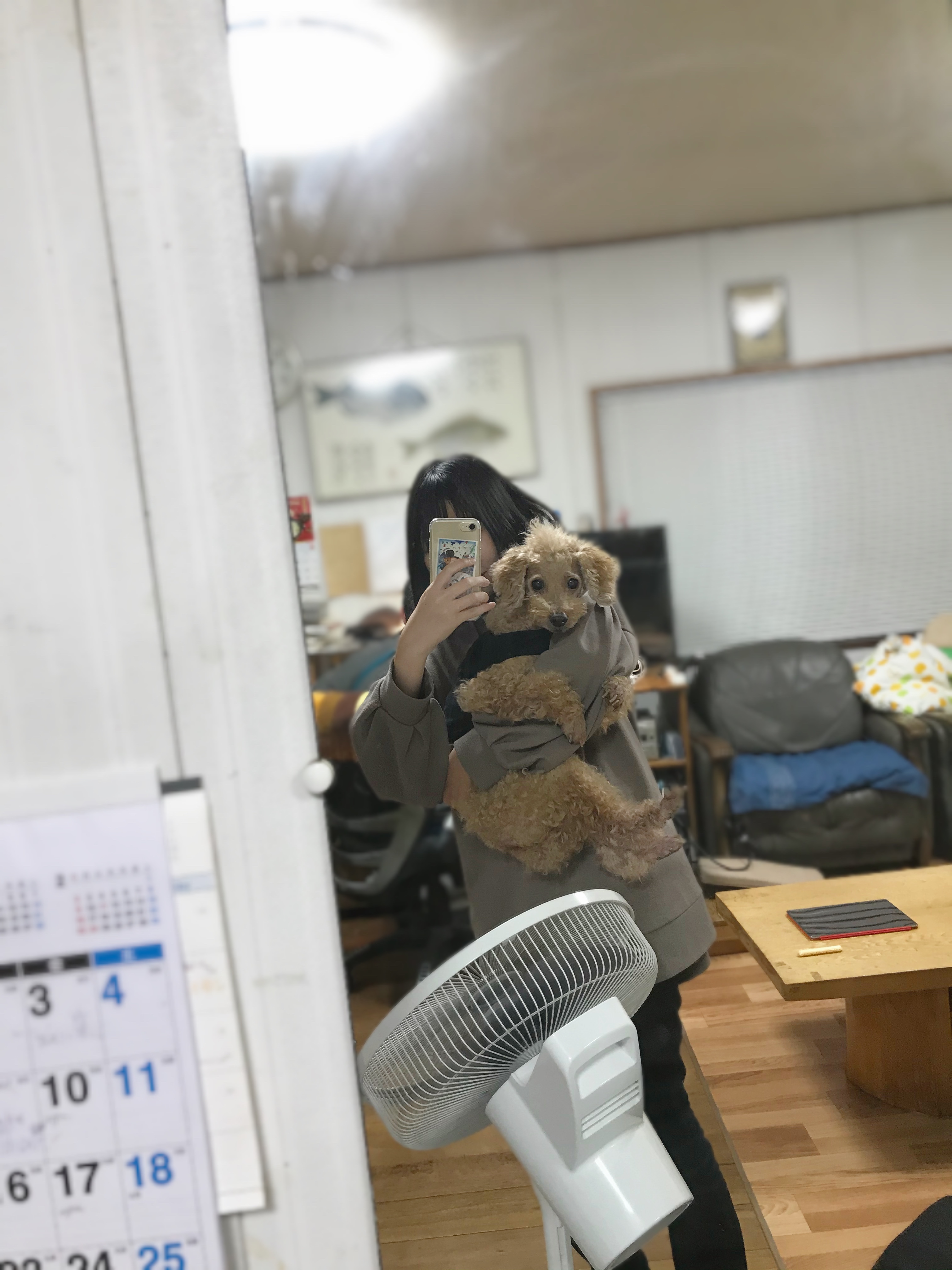 image-7
