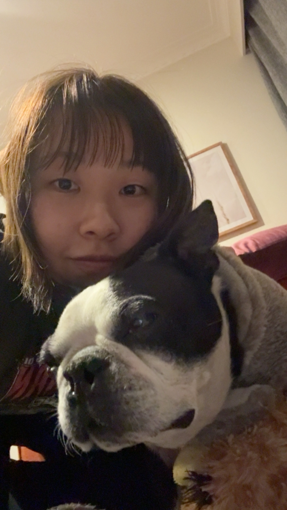 image-5