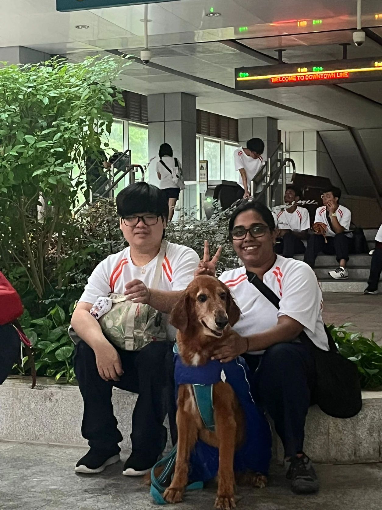 image-6