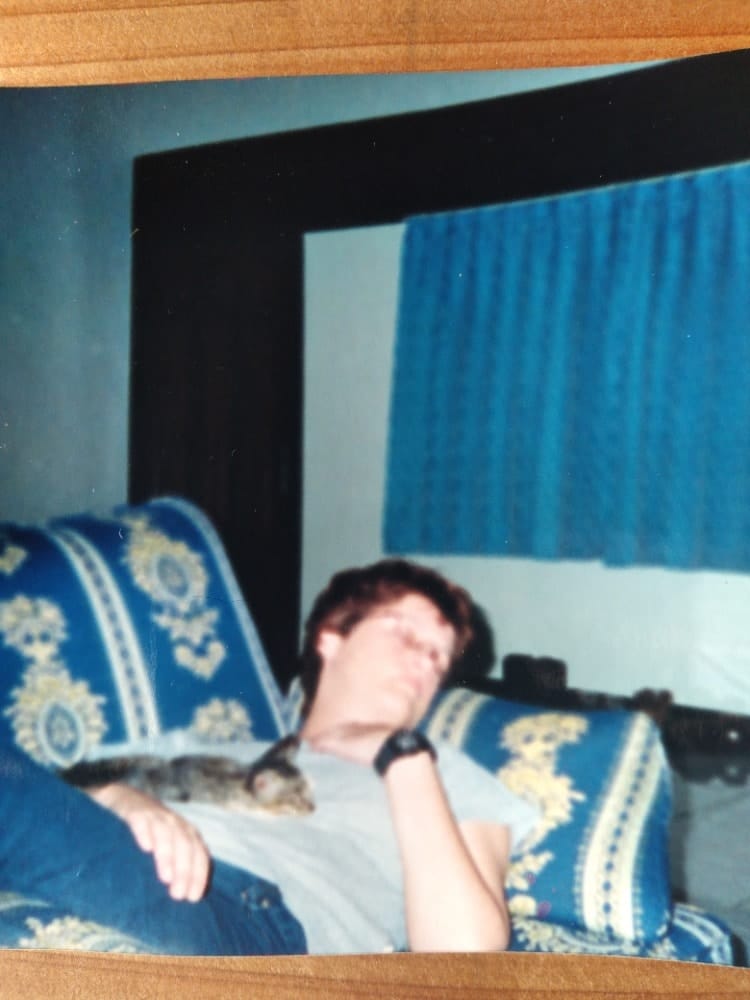 image-1