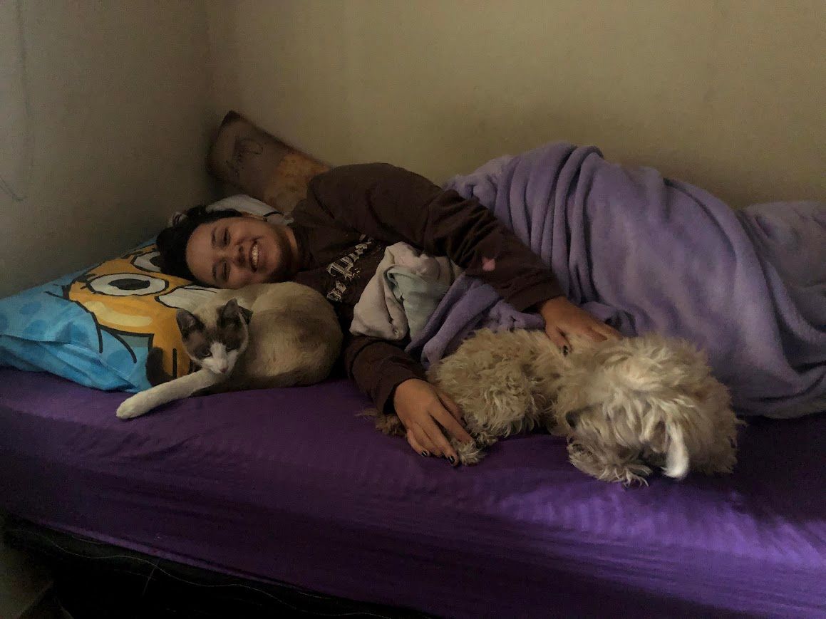 image-6